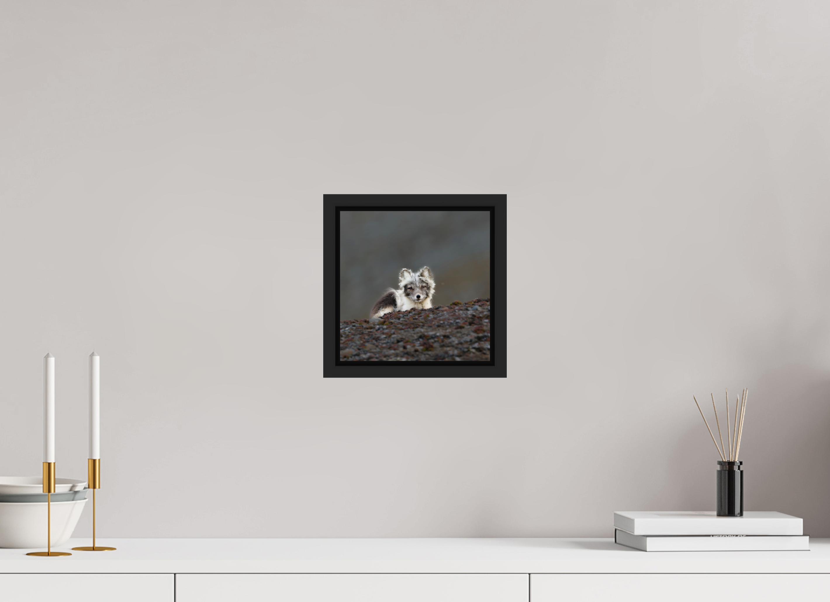 20 x 20 cm, Floater Frame Matte Black Glossy Acrylic Glass Arctic Fox Scout - Floater Frame Glossy