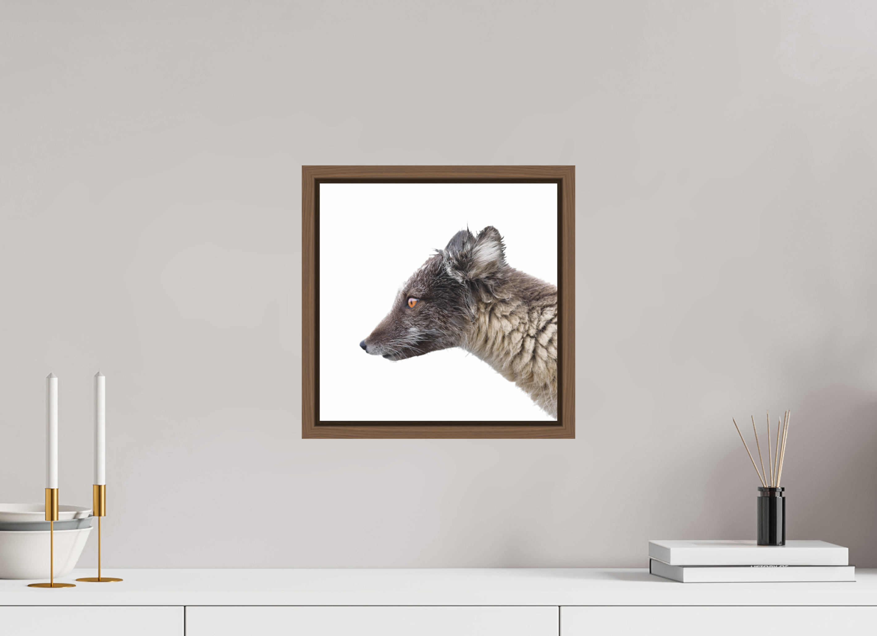 30 x 30 cm, Floater Frame Walnut Glossy Acrylic Glass Arctic Fox Brown - Floater Frame Glossy