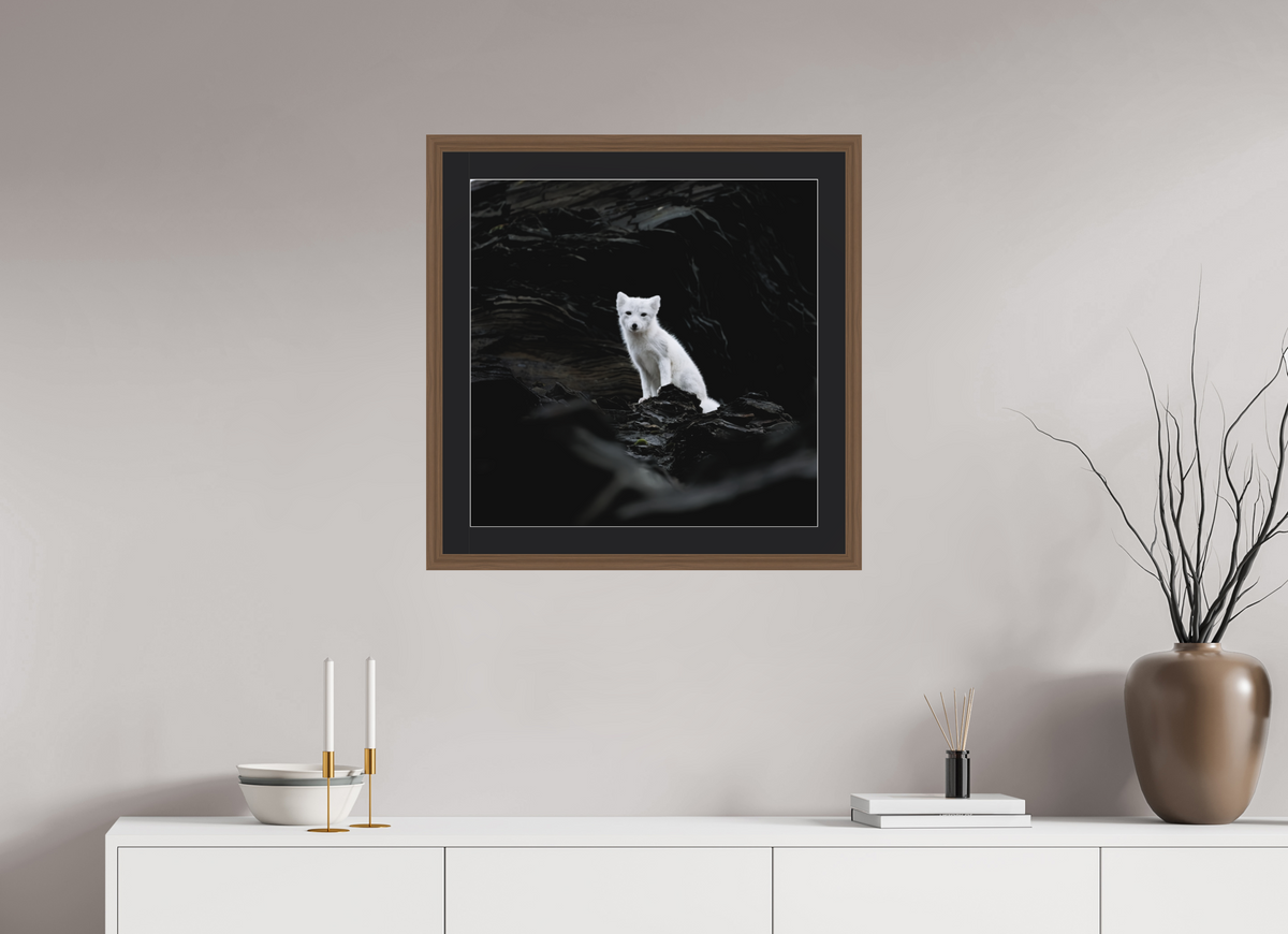 60 x 60 cm, Solid Wood Frame Vienna Passe-partout Walnut Arctiv Fox Angel -Solid Frame With Passe-Partout