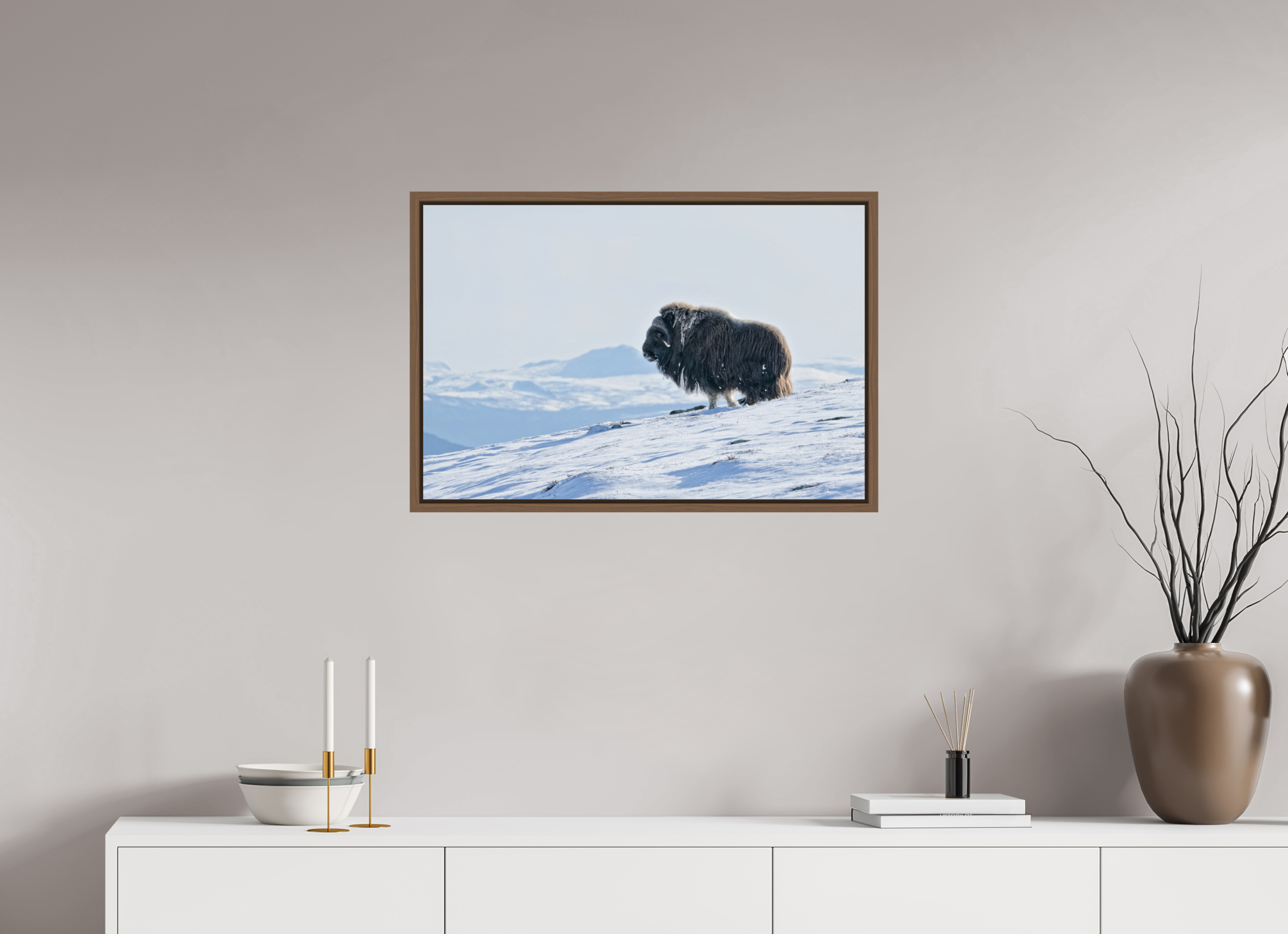 75 x 50 cm, Floater Frame Walnut Glossy Acrylic Glass The Musk Ox Kingdom - Floater Frame Glossy