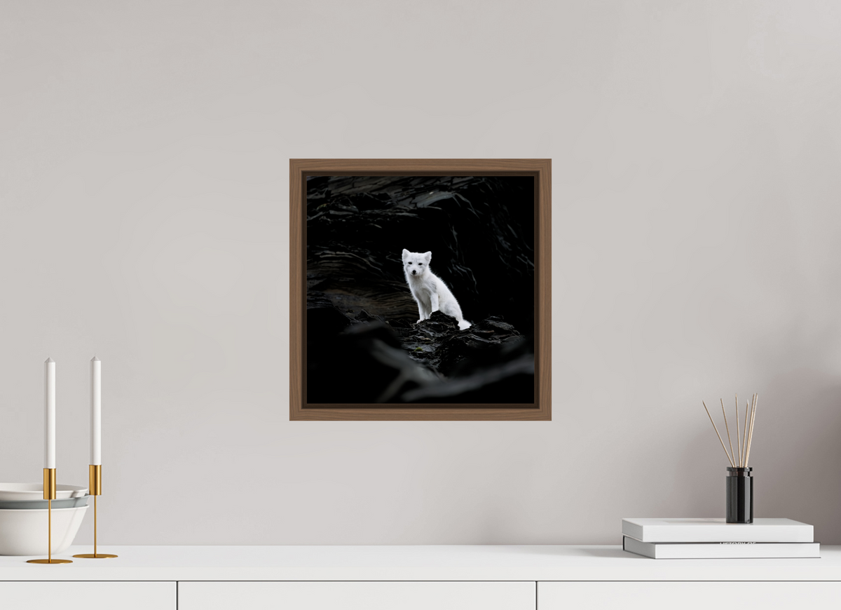 30 x 30 cm, Floater Frame Walnut Glossy Acrylic Glass Arctic Fox Angel - Floater Frame Glossy
