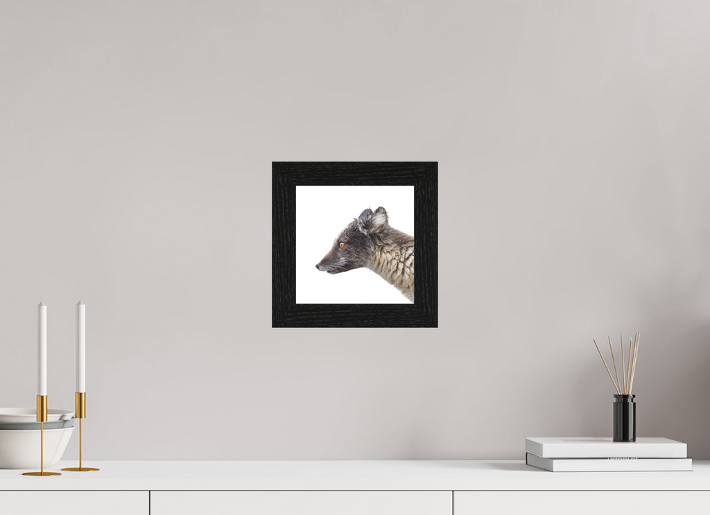 20 x 20 cm, Gallery Frame Hamburg 40mm Black Oak Matte Acrylic Arctic Fox Brown - In Solid 40 mm Wood Frame Hamburg Matte