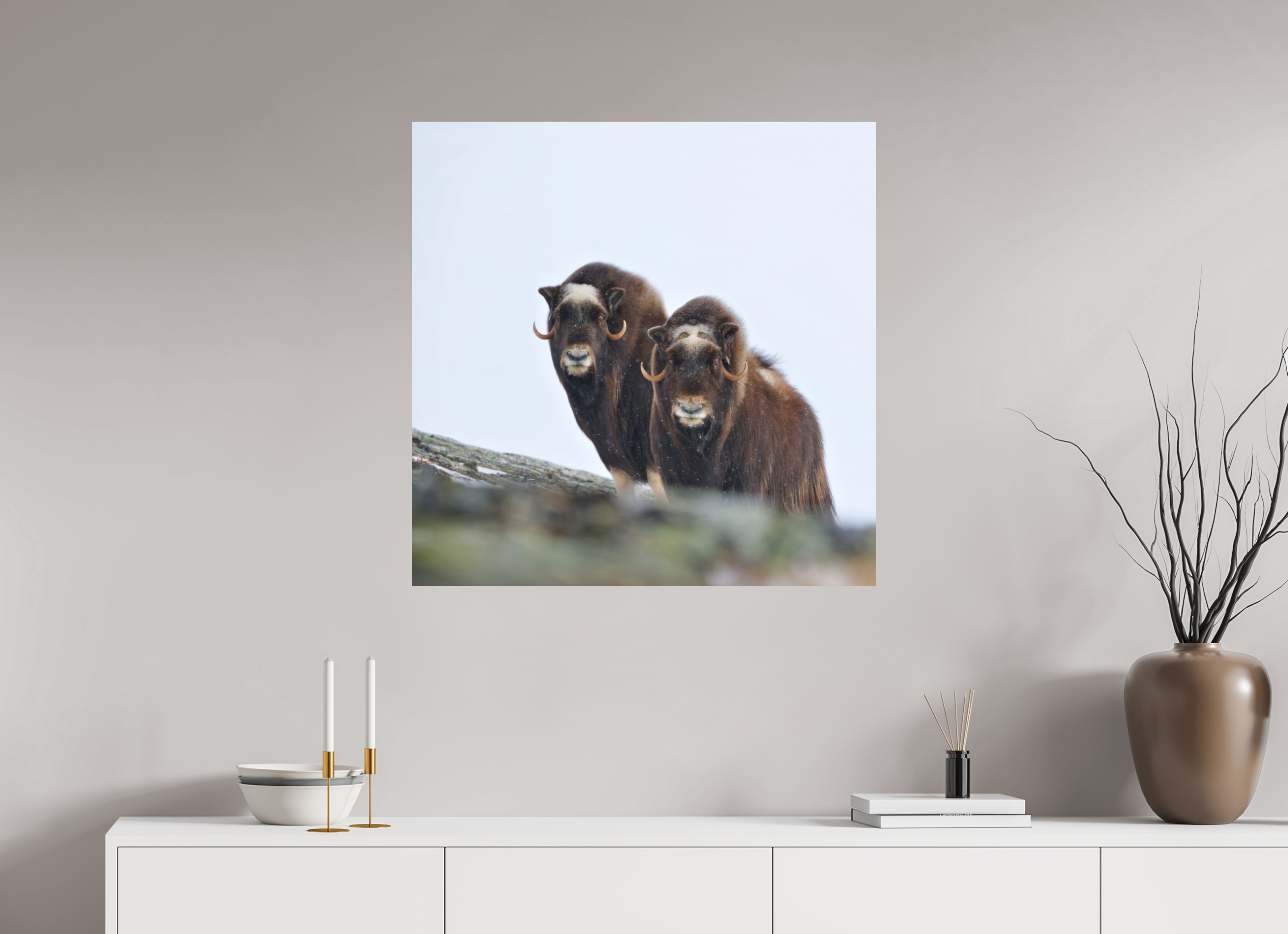80 x 80 cm, Matte Photo Print The Musk Sisters - Photo Print