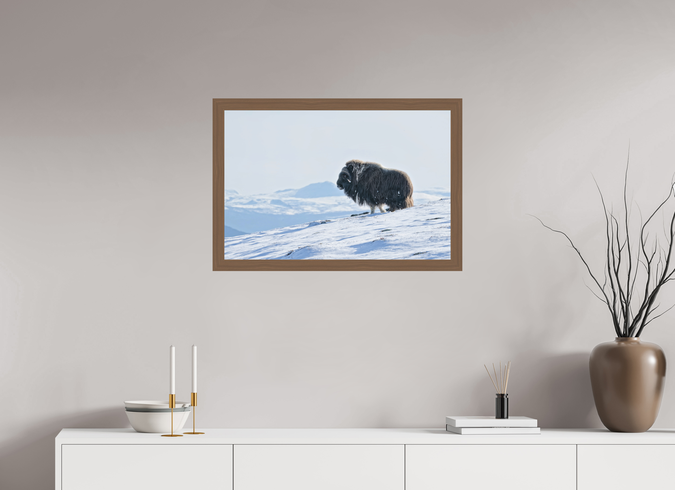 75 x 50 cm, Gallery Frame Hamburg 40mm Walnut Matte Acrylic Glass The Musk Ox Kingdom - In Solid 40 mm Wood Frame Hamburg Glossy Acrylic