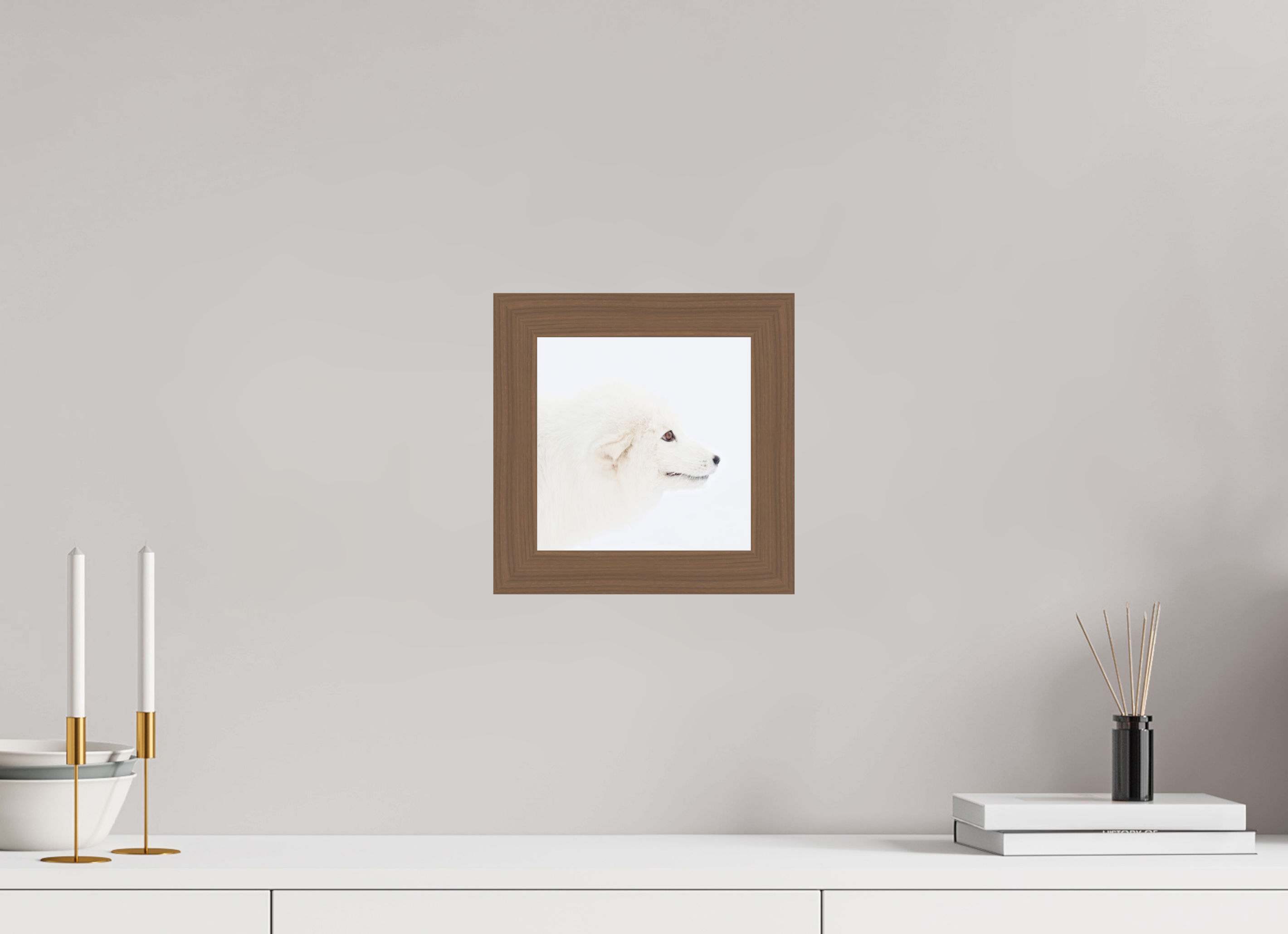 20 x 20 cm, Gallery Frame Hamburg 40mm Walnut Glossy Acrylic Glass Arctic Fox Head - In Solid Wood Frame Hamburg 40 mm
