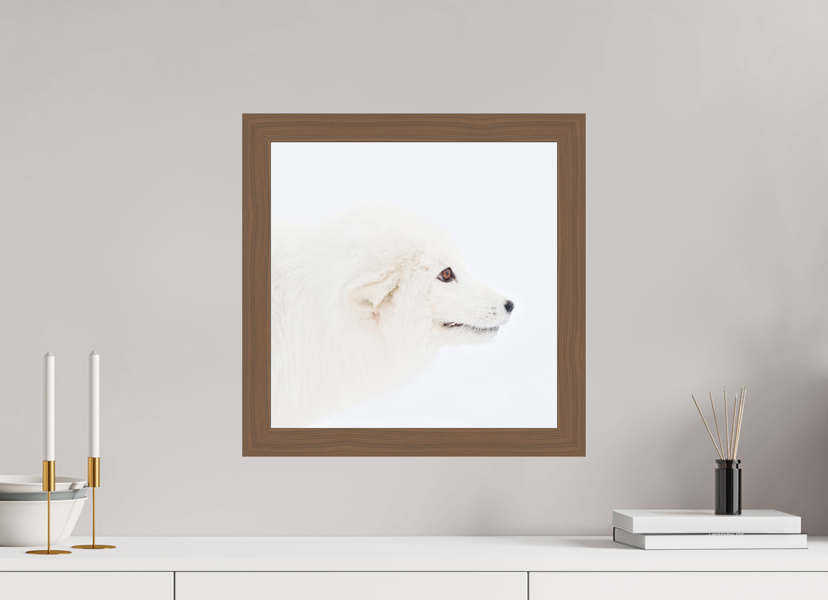 40 x 40 cm, Gallery Frame Hamburg 40mm Walnut Glossy Acrylic Glass Arctic Fox Head - In Solid Wood Frame Hamburg 40 mm
