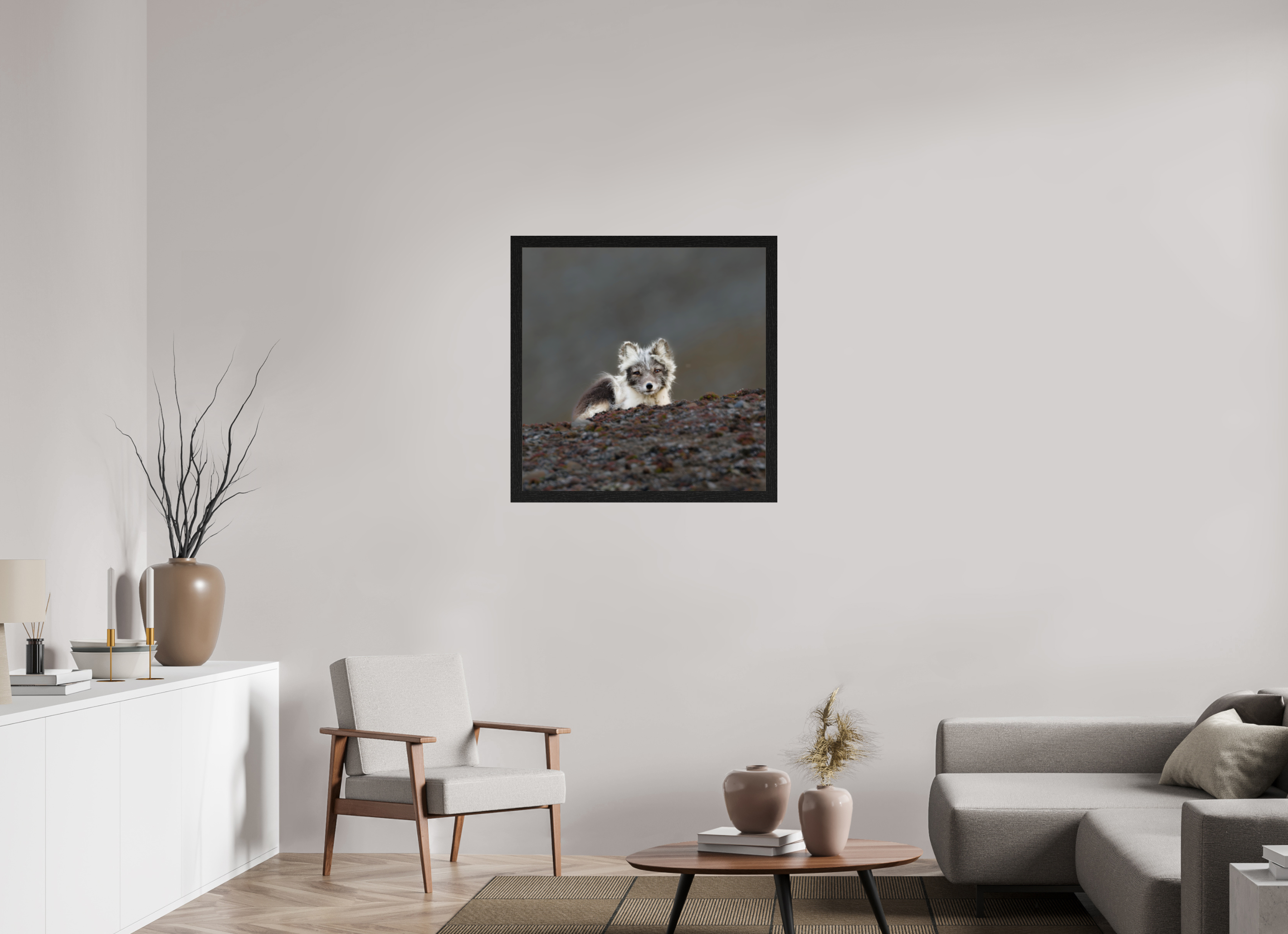 80 x 80 cm, Gallery Frame Hamburg 40mm Black Oak Glossy Acrylic Glass Arctic Fox Scout- In Solid 40 mm Wood Frame Hamburg Glossy