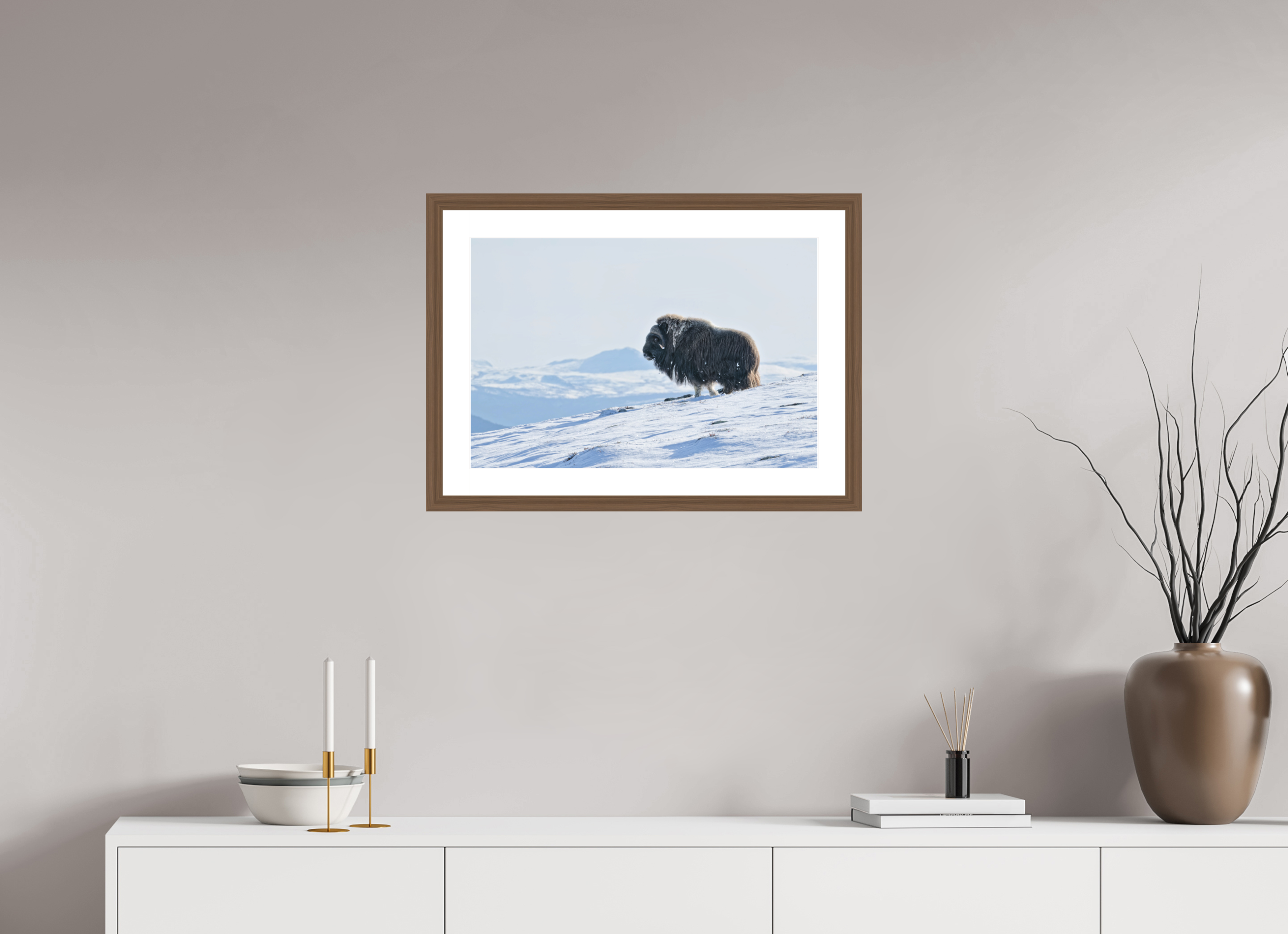 60 x 40 cm, Solid Wood Walnut Frame Vienna White Passe-partout The Musk Ox Kingdom -  Solid Frame White Passe-Partout