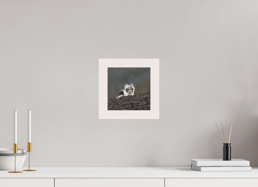 20 x 20 cm, Gallery Frame Hamburg 40mm White Maple Matte Acrylic Arctic Fox Scout- In Solid 40 mm Wood Frame Hamburg Matte