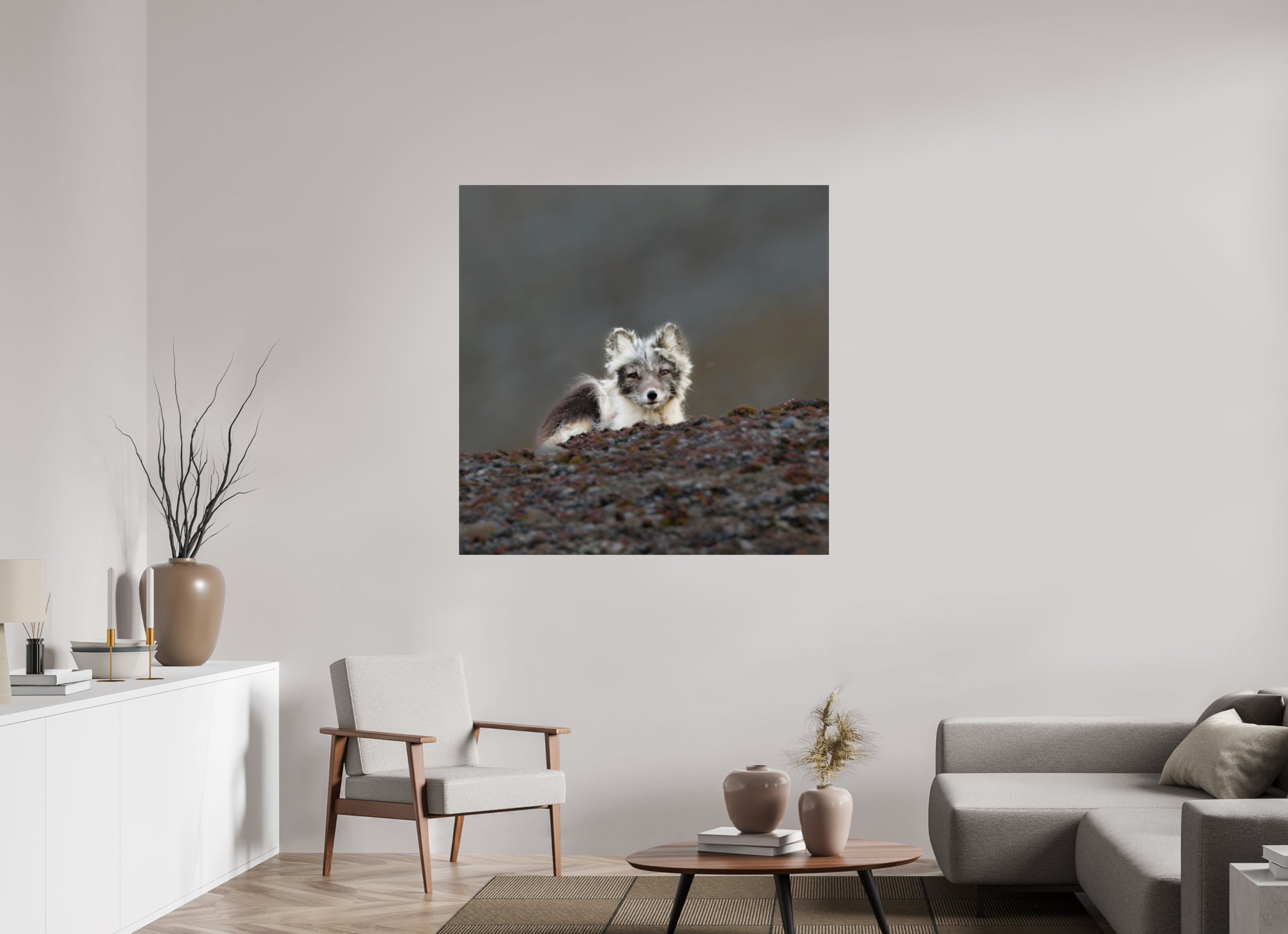 120 x 120 cm, Photo Print On Fuji Crystal DP II Arctic Fox Scout - Photo Print