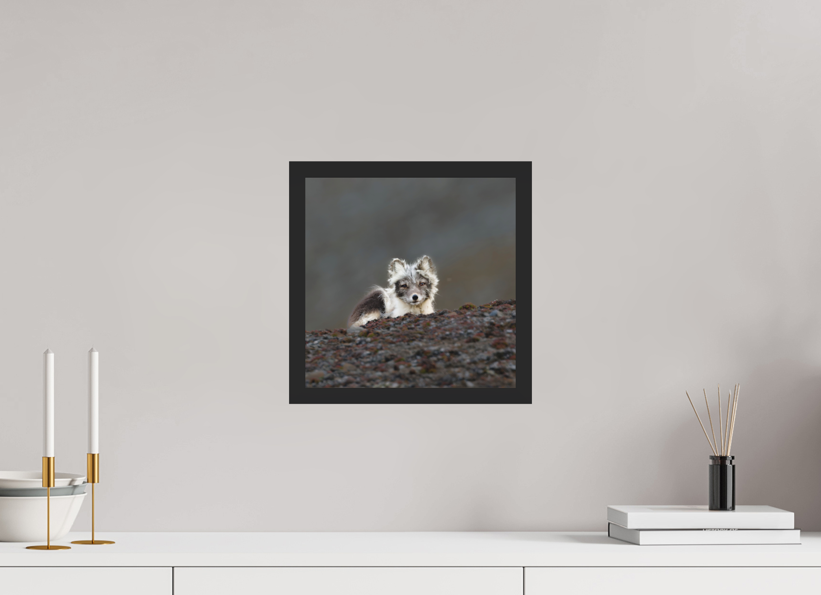 30 x 30 cm, Gallery Frame Hamburg 20mm Matte Black Matte Acrylic Arctic Fox Scout- In Solid 20 mm Wood Frame Hamburg Matte