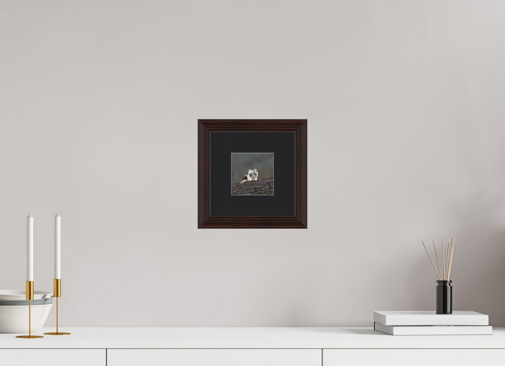 10 x 10 cm, Solid Wood Frame Vienna Passe-partout Alder Brown Arctiv Fox Scout -Solid Frame With Passe-Partout