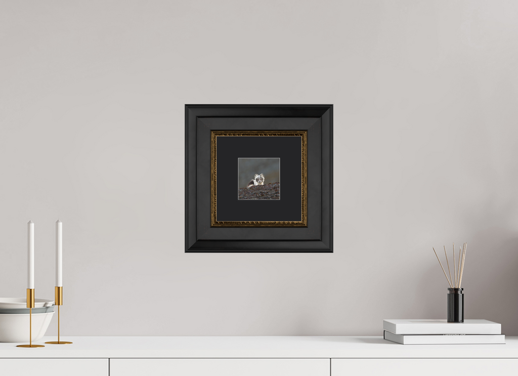 10 x 10 cm, Solid Wood Frame London Passe-partout Gold Arctiv Fox Scout -Solid Frame With Passe-Partout