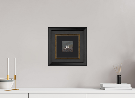 10 x 10 cm, Solid Wood Frame London Passe-partout Gold Arctiv Fox Scout -Solid Frame With Passe-Partout