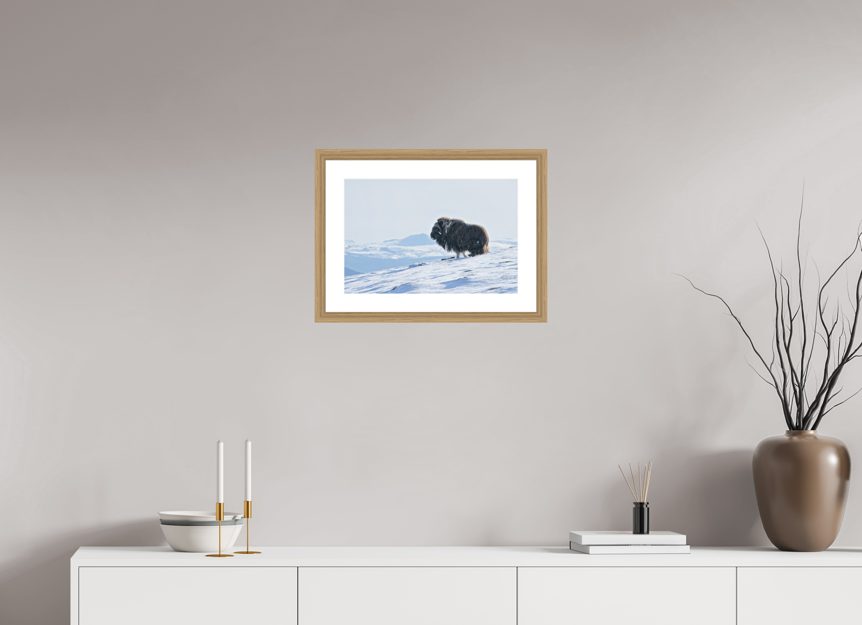 45 x 30 cm, Solid Wood Natural Oak Frame Vienna White Passe-partout The Musk Ox Kingdom -  Solid Frame White Passe-Partout