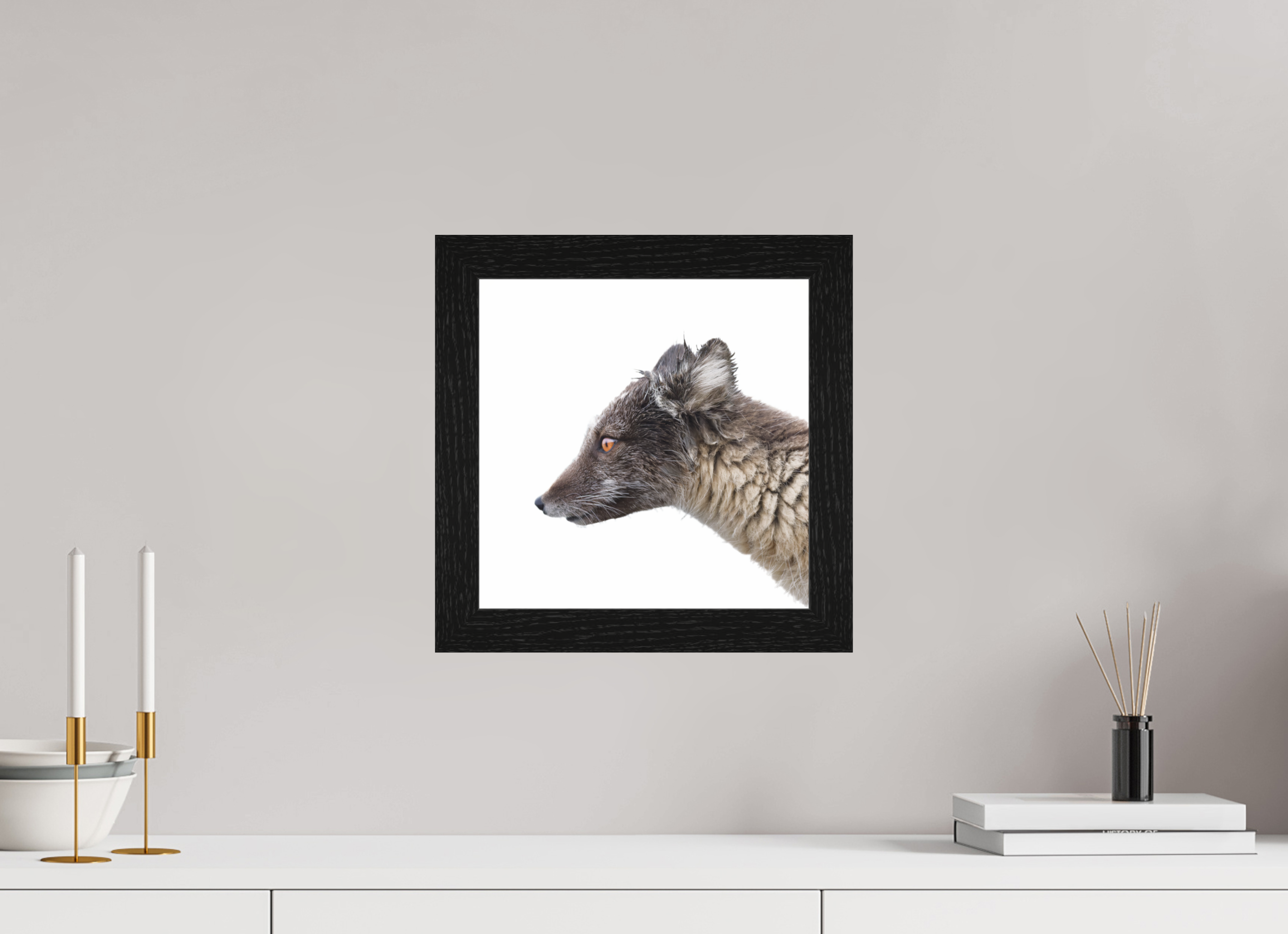 30 x 30 cm, Gallery Frame Hamburg 40mm Black Oak Glossy Acrylic Glass Arctic Fox Angel - In Solid 40 mm Wood Frame Hamburg Glossy