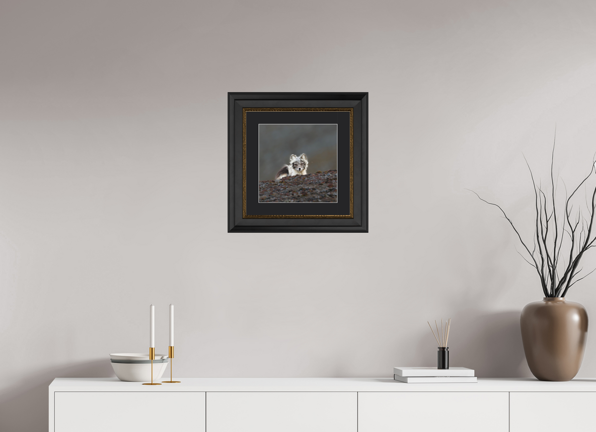 30 x 30 cm, Solid Wood Frame London Passe-partout Gold Arctiv Fox Scout -Solid Frame With Passe-Partout