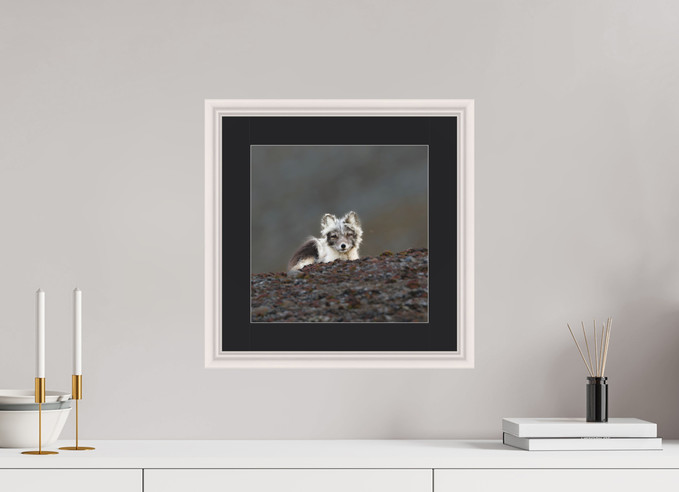 30 x 30 cm, Solid Wood Frame Vienna Passe-partout Maple White Arctiv Fox Scout -Solid Frame With Passe-Partout