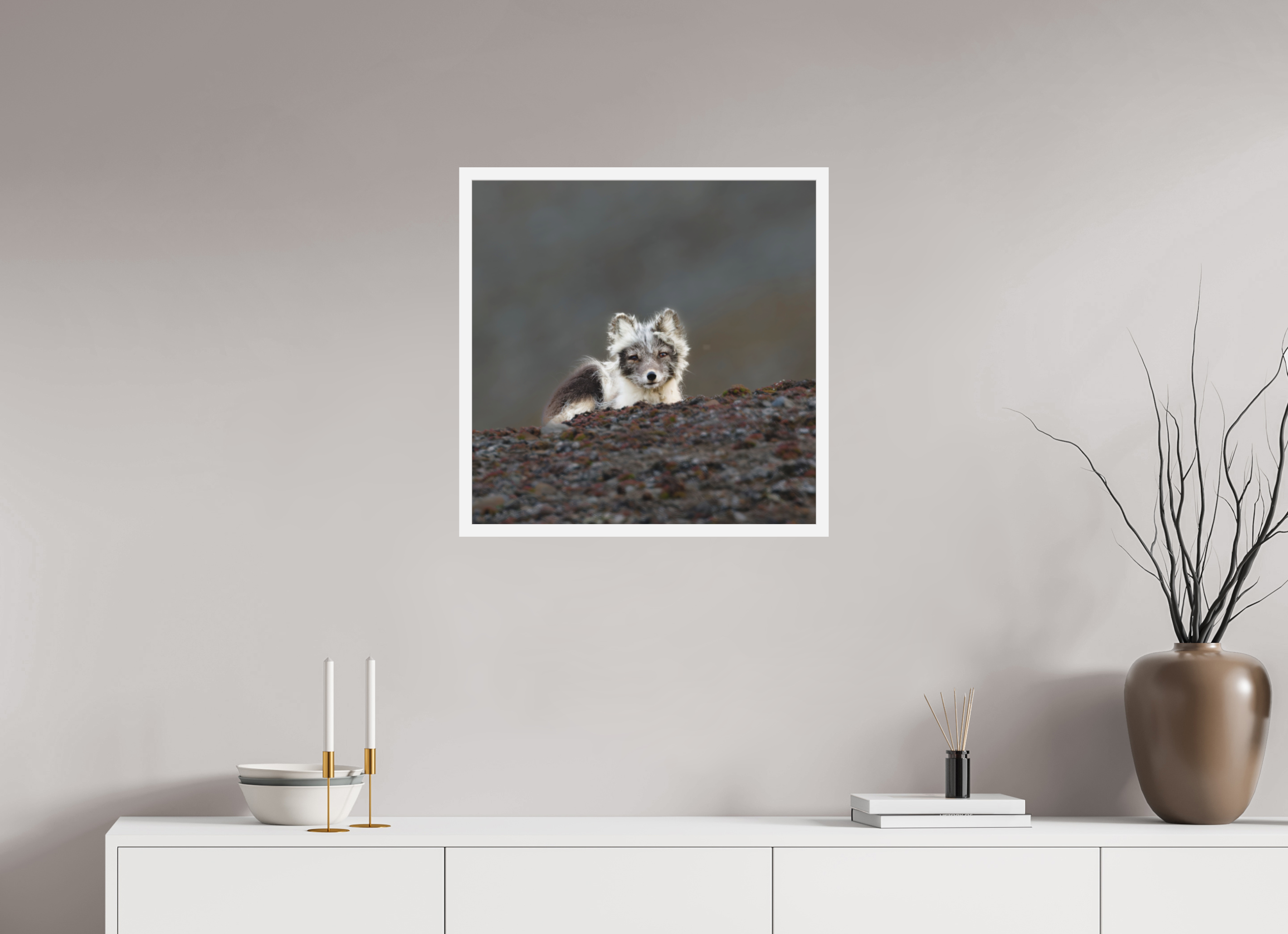 60 x 60 cm, Gallery Frame Hamburg 20mm White Glossy Acrylic Arctic Fox Scout- In Solid 20 mm Wood Frame Hamburg Matte