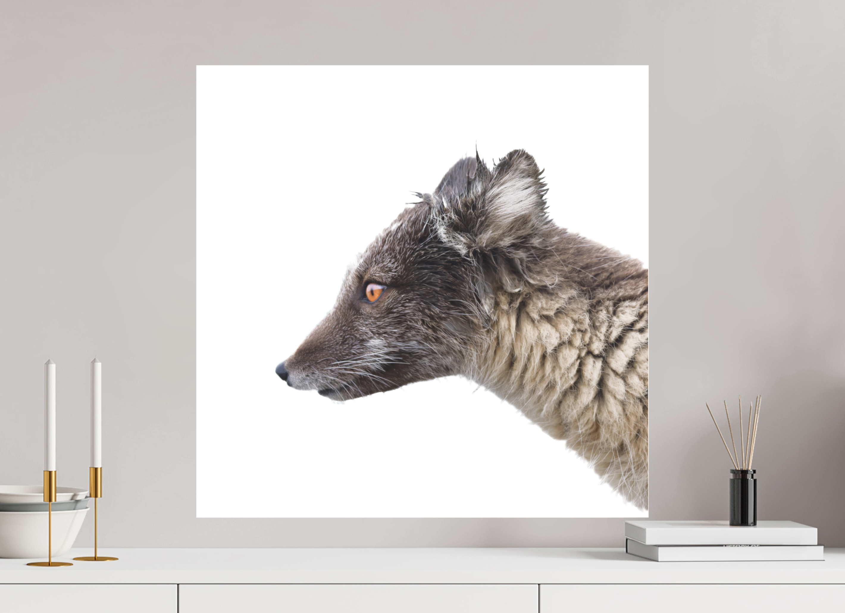 60 x 60 cm, Photo Print Under Matte Acrylic Glass 2mm Arctic Fox Brown - Under Acrylic Glass