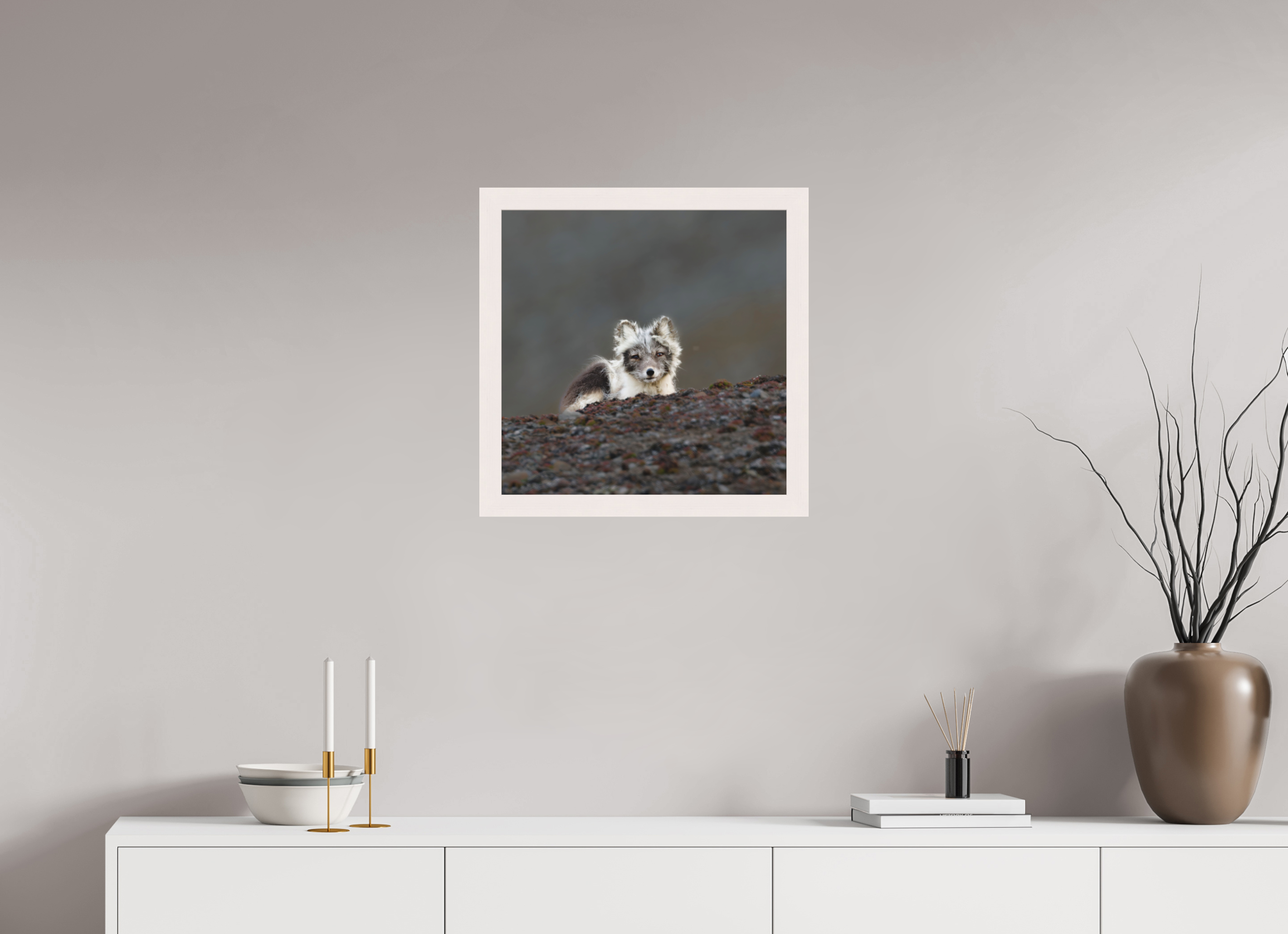 50 x 50 cm, Gallery Frame Hamburg 40mm White Maple Matte Acrylic Arctic Fox Scout- In Solid 40 mm Wood Frame Hamburg Matte