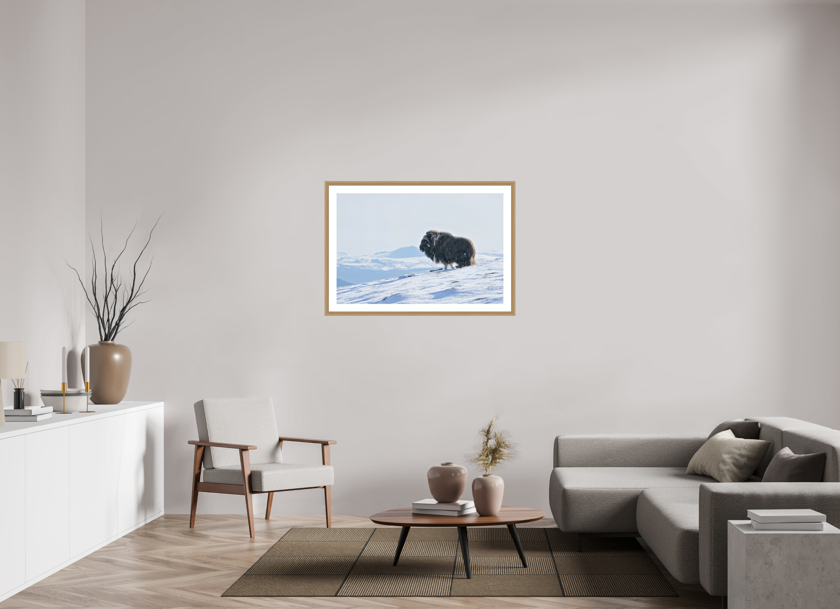 105 x 70 cm, Solid Wood Natural Oak Frame Vienna White Passe-partout The Musk Ox Kingdom -  Solid Frame White Passe-Partout