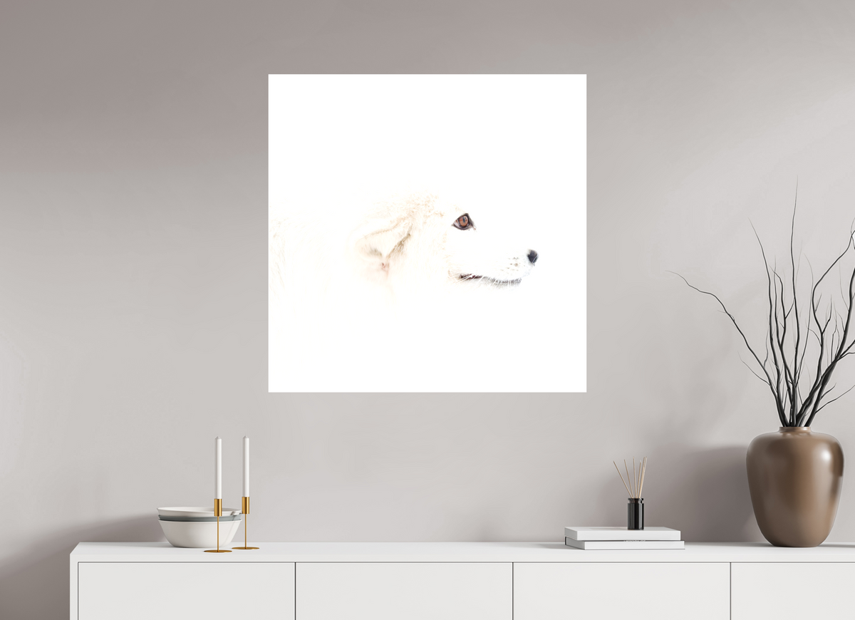 80 x 80 cm, Matte Canvas Fox Head - Strecher Frame