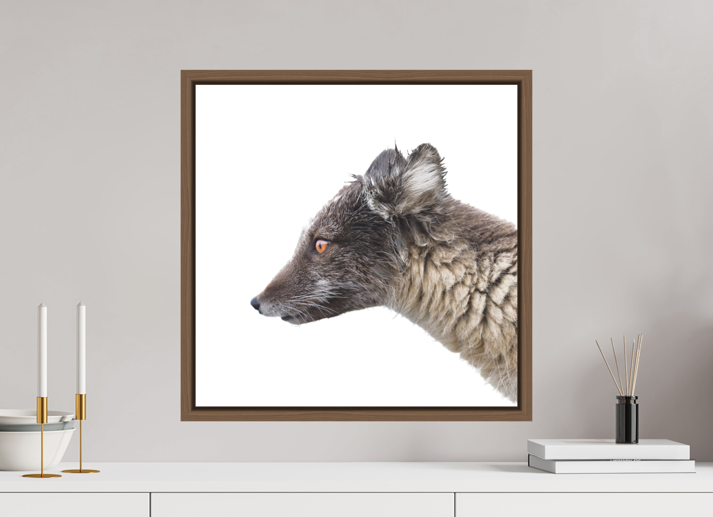 50 x 50 cm, Floater Frame Walnut Matte Acrylic Glass Arctic Fox Brown - Floater Frame Matte
