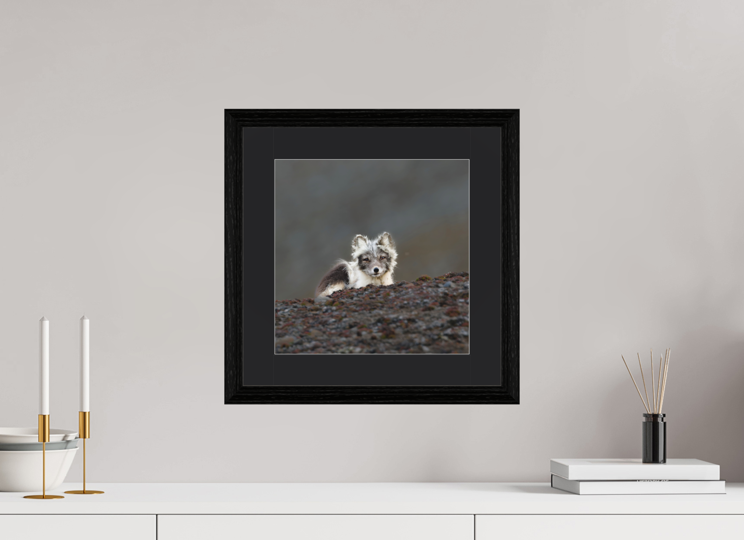30 x 30 cm, Solid Wood Frame Vienna Passe-partout Black Oak Arctiv Fox Scout -Solid Frame With Passe-Partout