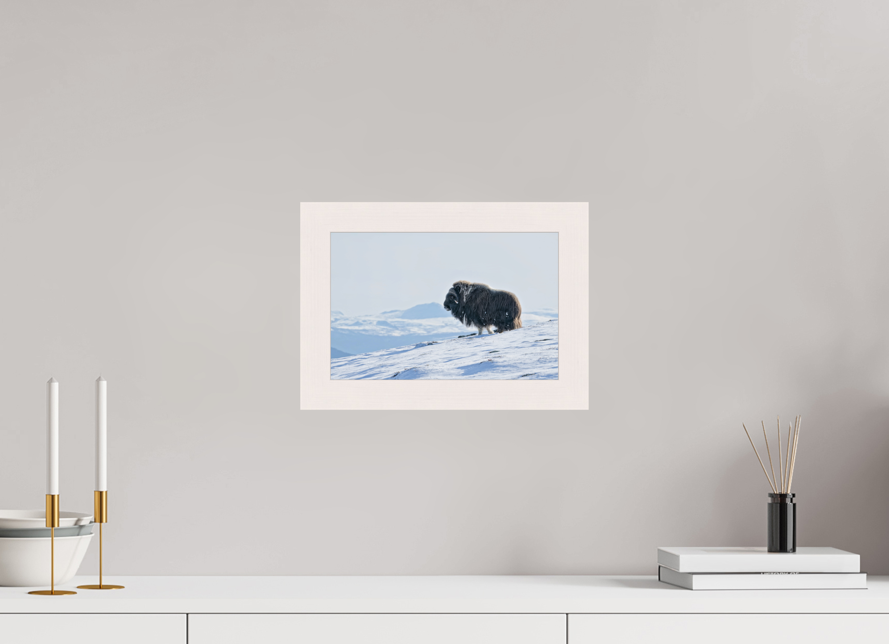 30 x 20 cm, Gallery Frame Hamburg 40mm White Maple Glossy Acrylic Glass The Musk Ox Kingdom -  In Solid 40 mm Wood Frame Hamburg  Glossy Acrylic