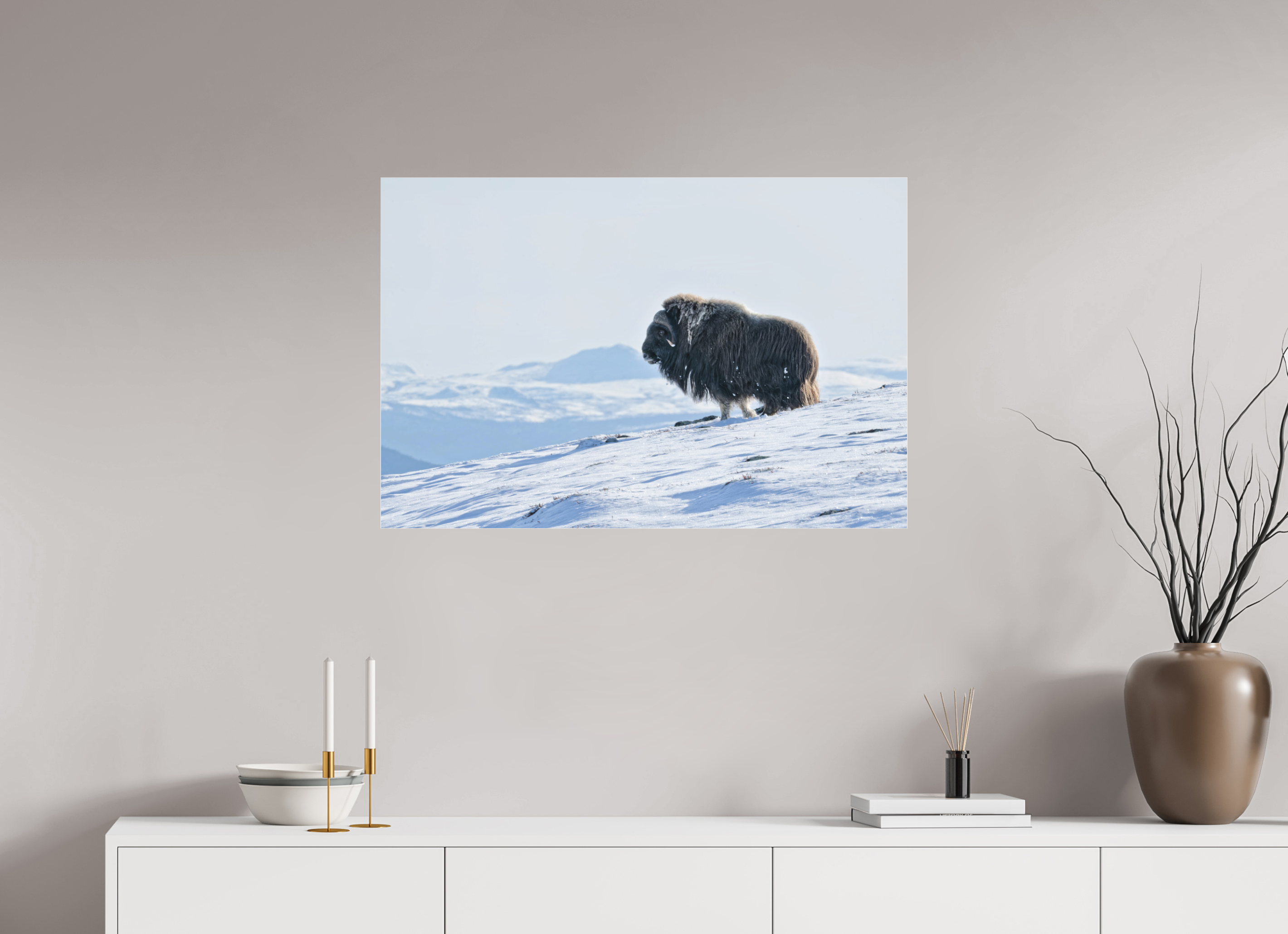 90 x 60 cm, Photo Print Under Matte Acrylic Glass 2mm The Musk Ox Kingdom - Photo Print Under Acrylic Glass