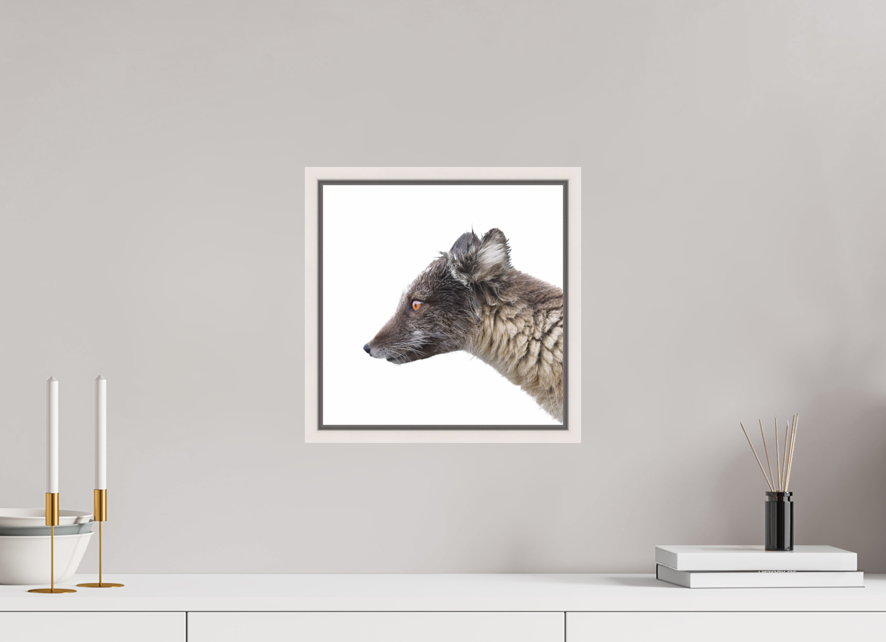 30 x 30 cm, Floater Frame Maple White Glossy Acrylic Glass Arctic Fox Brown - Floater Frame Glossy