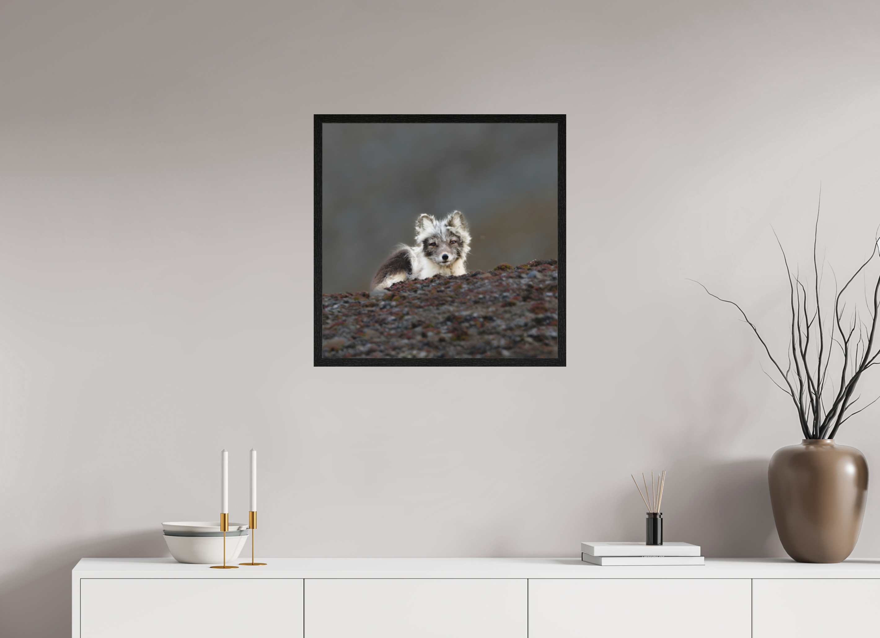 60 x 60 cm, Gallery Frame Hamburg 20mm Black Oak Matte Acrylic Arctic Fox Scout- In Solid 20 mm Wood Frame Hamburg Matte