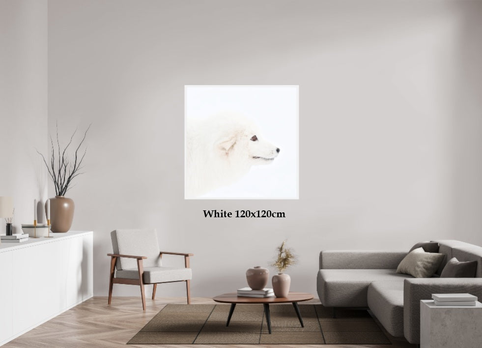 Arctic Fox Head - In Solid 20 mm Wood Frame Hamburg