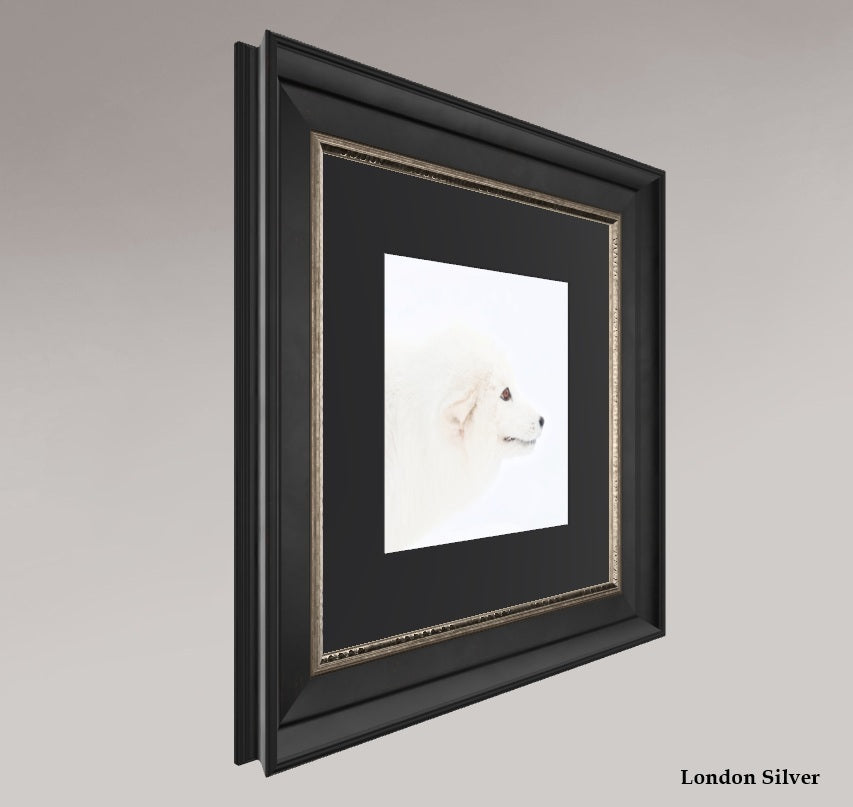 Arctic Fox Head - Solid Frame With Passe-Partout