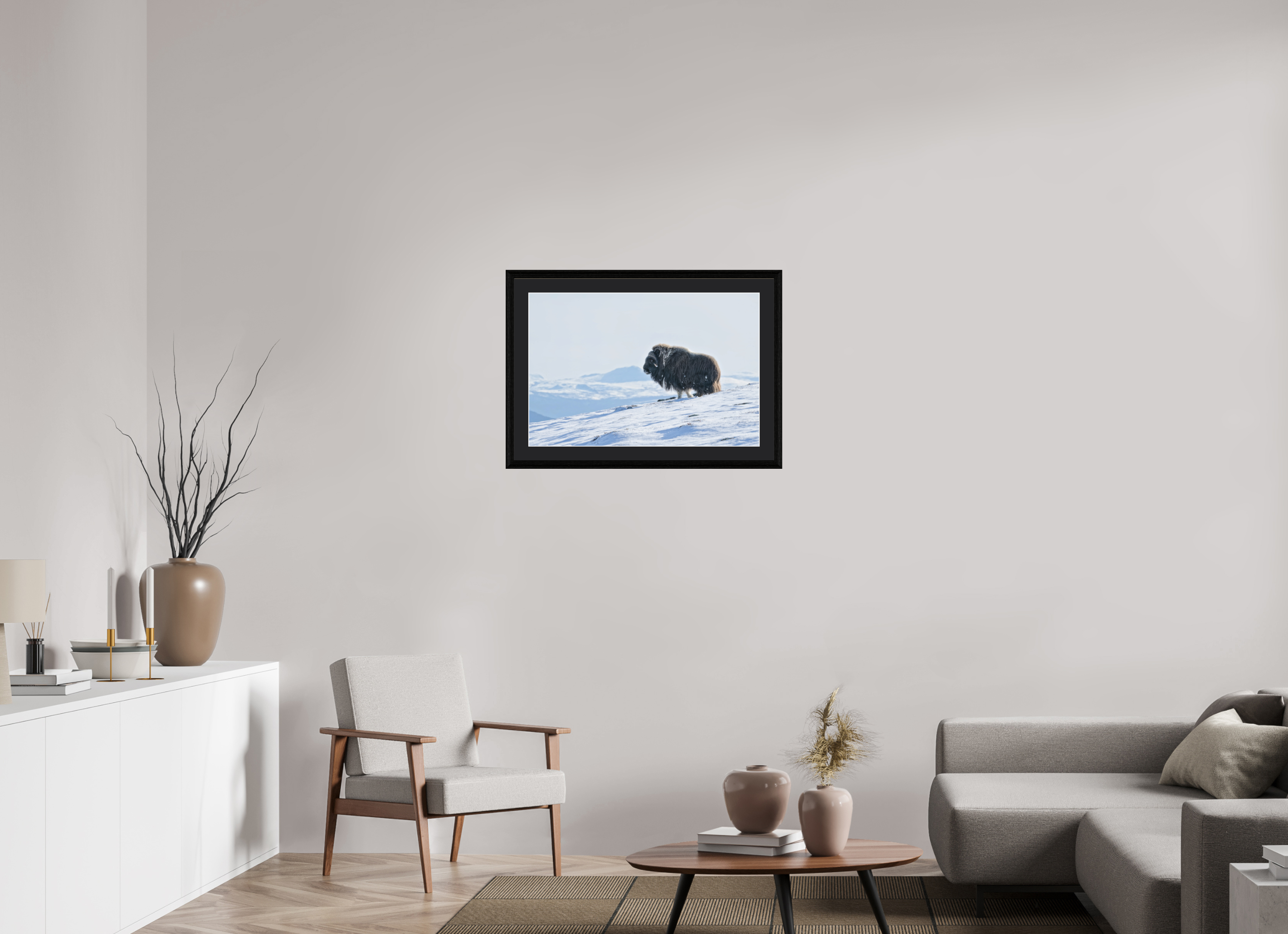75 x 50 cm, Solid Wood Black Oak Frame Vienna Black Passe-partout The Musk Ox Kingdom - Solid Frame With Passe-Partout