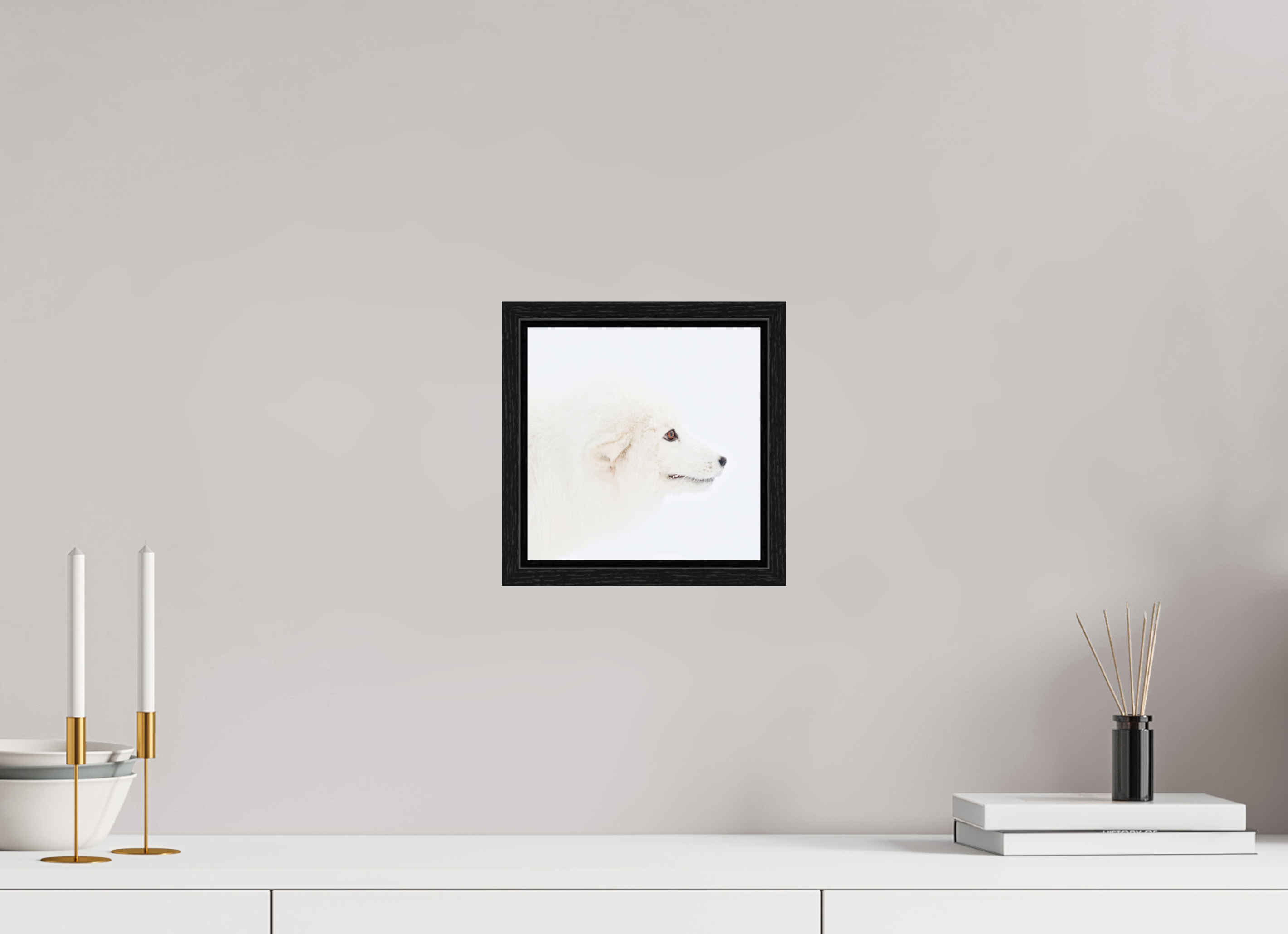 20 x 20 cm, Floater Frame Black Oak Glossy Acrylic Glass Arctic Fox Head - Floater Frame