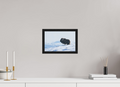 30 x 20 cm, Gallery Frame Hamburg 20mm Black Oak Matte Acrylic The Musk Ox Kingdom - In Solid 20 mm Wood Frame Hamburg Matte Acrylic