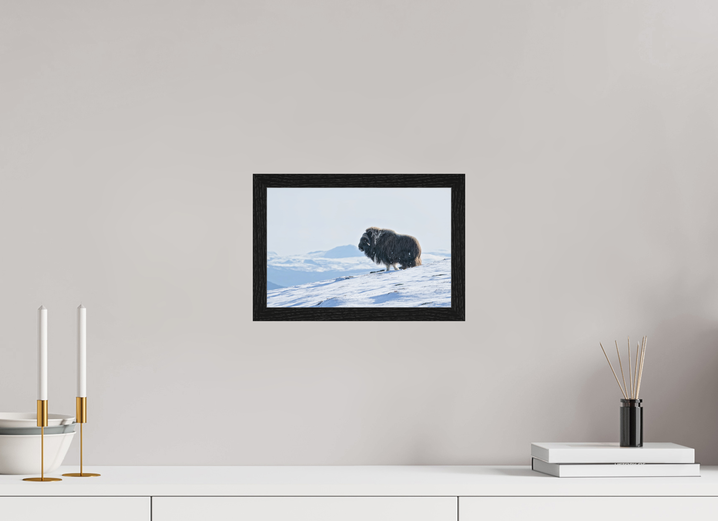 30 x 20 cm, Gallery Frame Hamburg 20mm Black Oak Matte Acrylic The Musk Ox Kingdom - In Solid 20 mm Wood Frame Hamburg Matte Acrylic