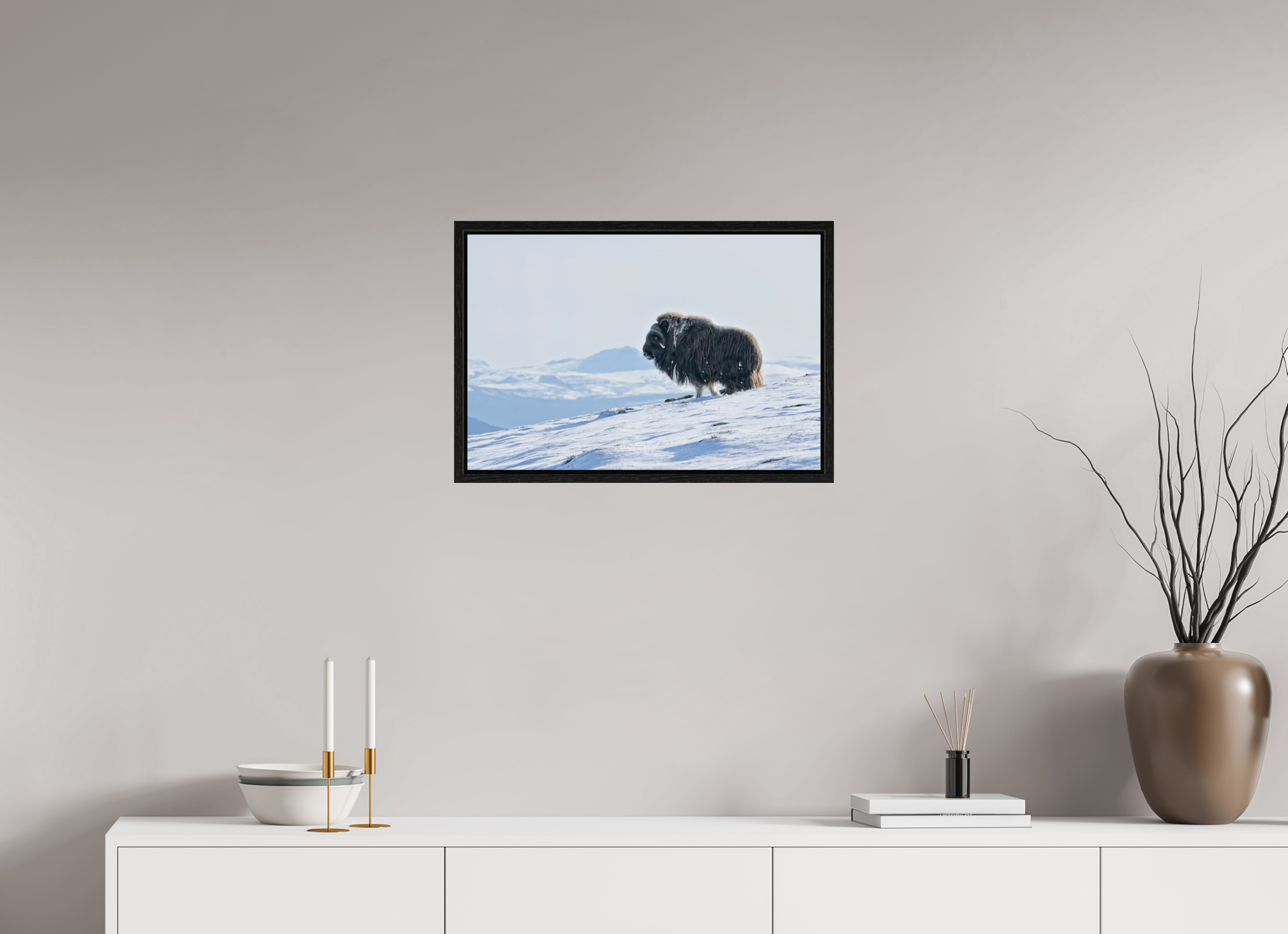 60 x 40 cm, Floater Frame Black Oak Glossy Acrylic Glass The Musk Ox Kingdom - Floater Frame Glossy