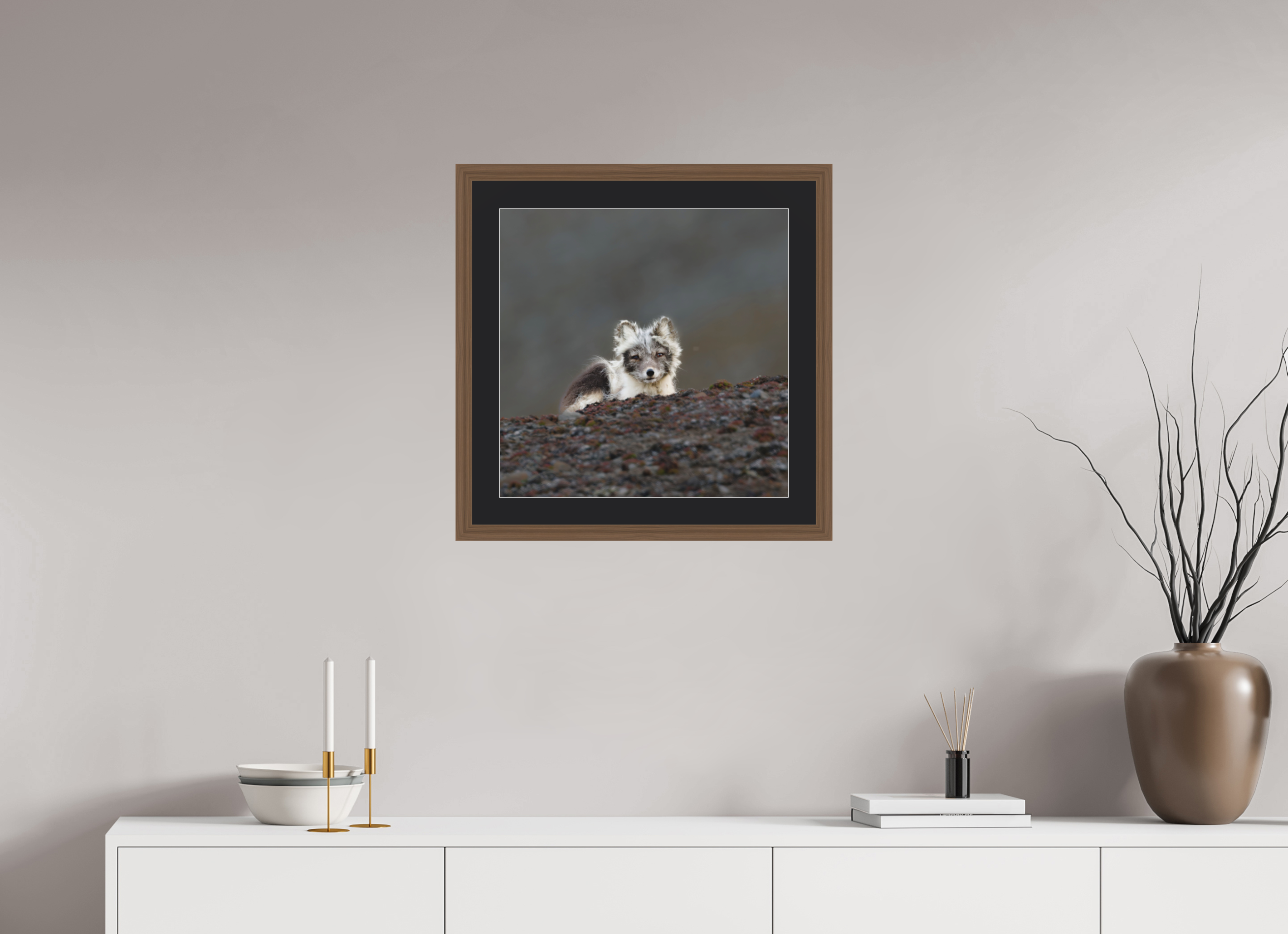50 x 50 cm, Solid Wood Frame Vienna Passe-partout Walnut Arctiv Fox Scout -Solid Frame With Passe-Partout