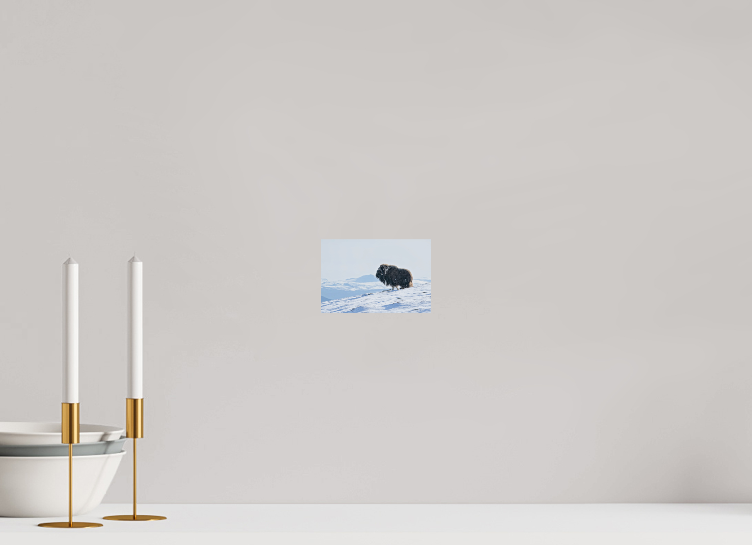 15 x 10 cm, Photo Print On Fuji Crystal DP II Kingdom of Musk
