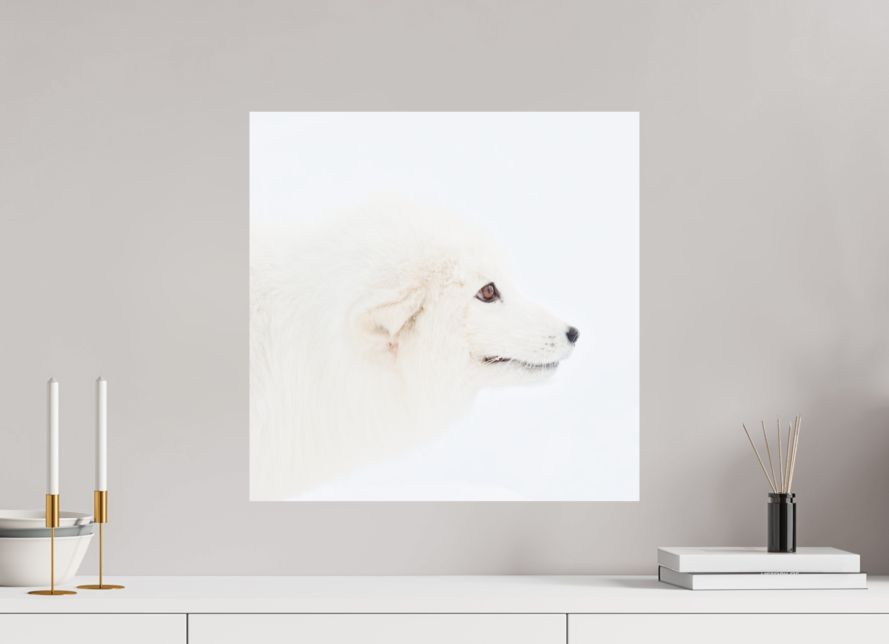 50 x 50 cm, Photo Print On Fuji Crystal DP II Arctic Fox Head - Photo Print