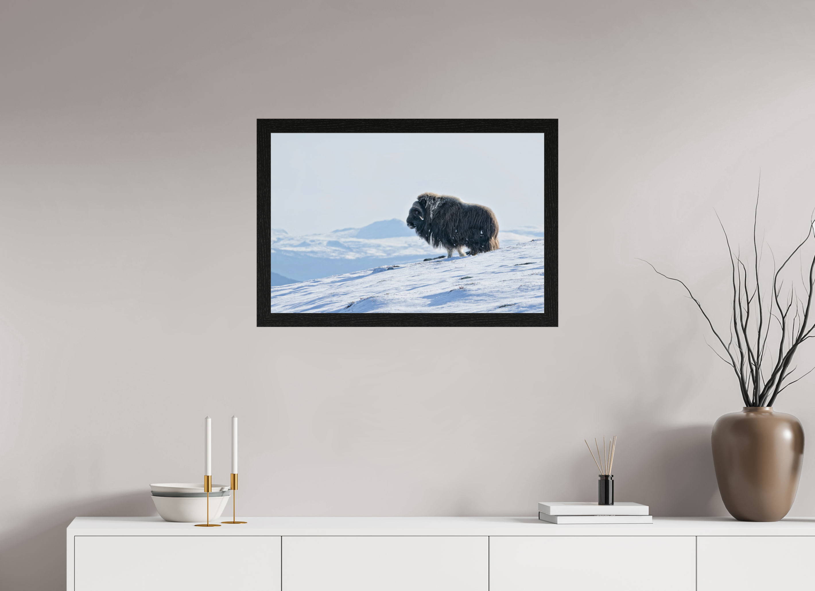 75 x 50 cm, Gallery Frame Hamburg 40mm Black Oak Glossy Acrylic Glass The Musk Ox Kingdom -  In Solid 40 mm Wood Frame Hamburg  Glossy Acrylic