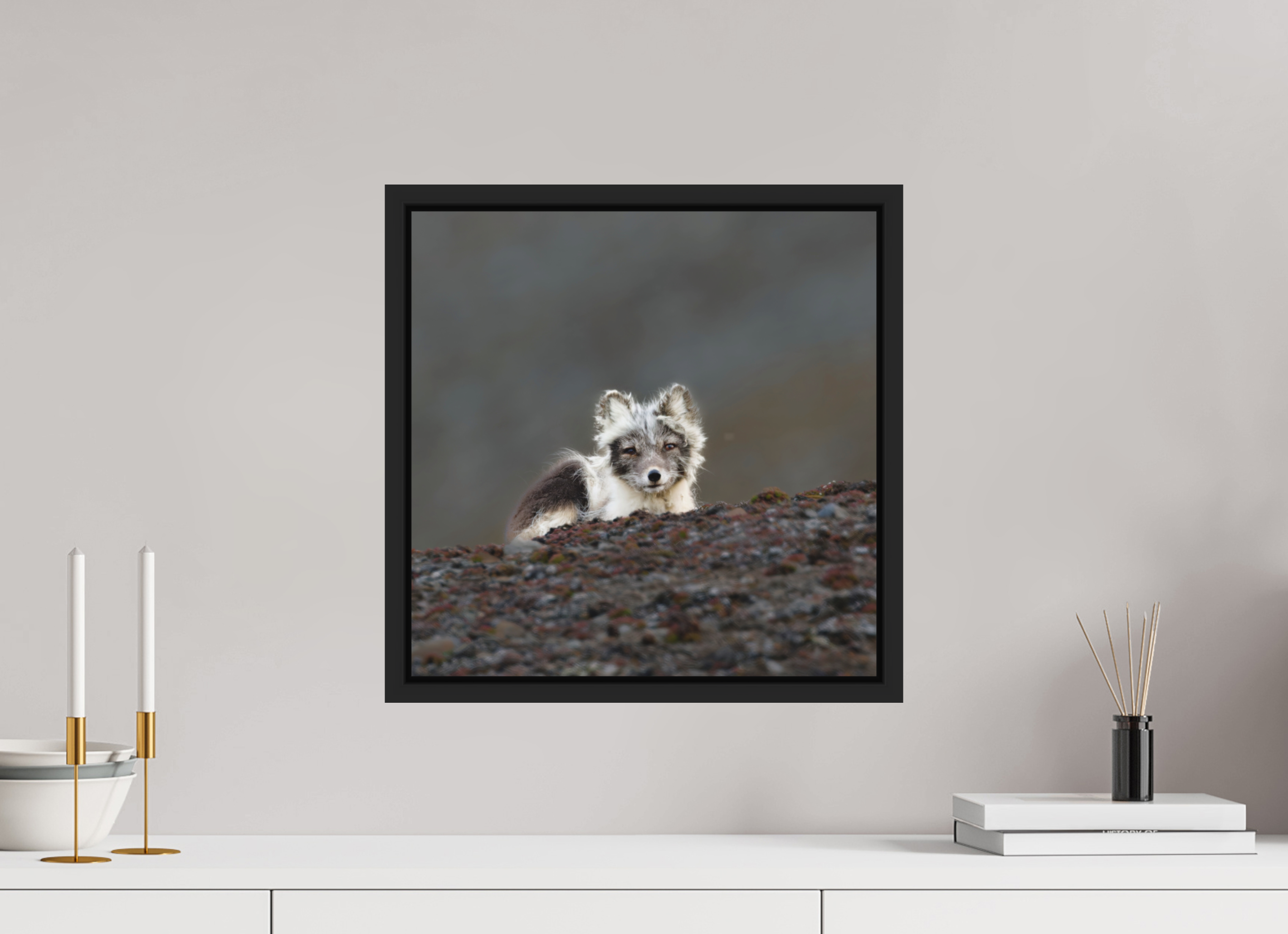 40 x 40 cm, Floater Frame Matte Black Matte Acrylic Glass Arctic Fox Scout - Floater Frame Matte