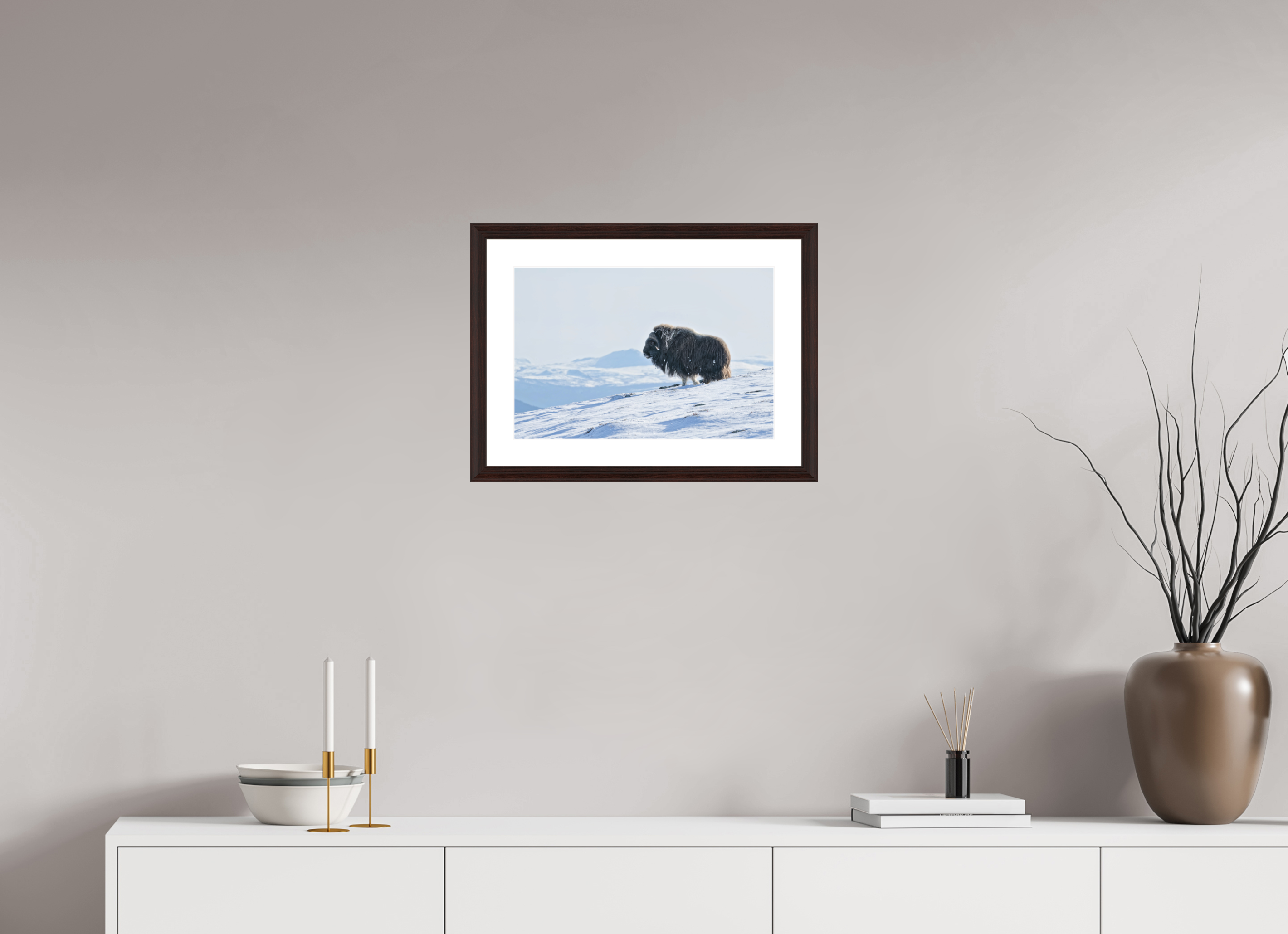 45 x 30 cm, Solid Wood Alder Brown Frame Vienna White Passe-partout The Musk Ox Kingdom -  Solid Frame White Passe-Partout