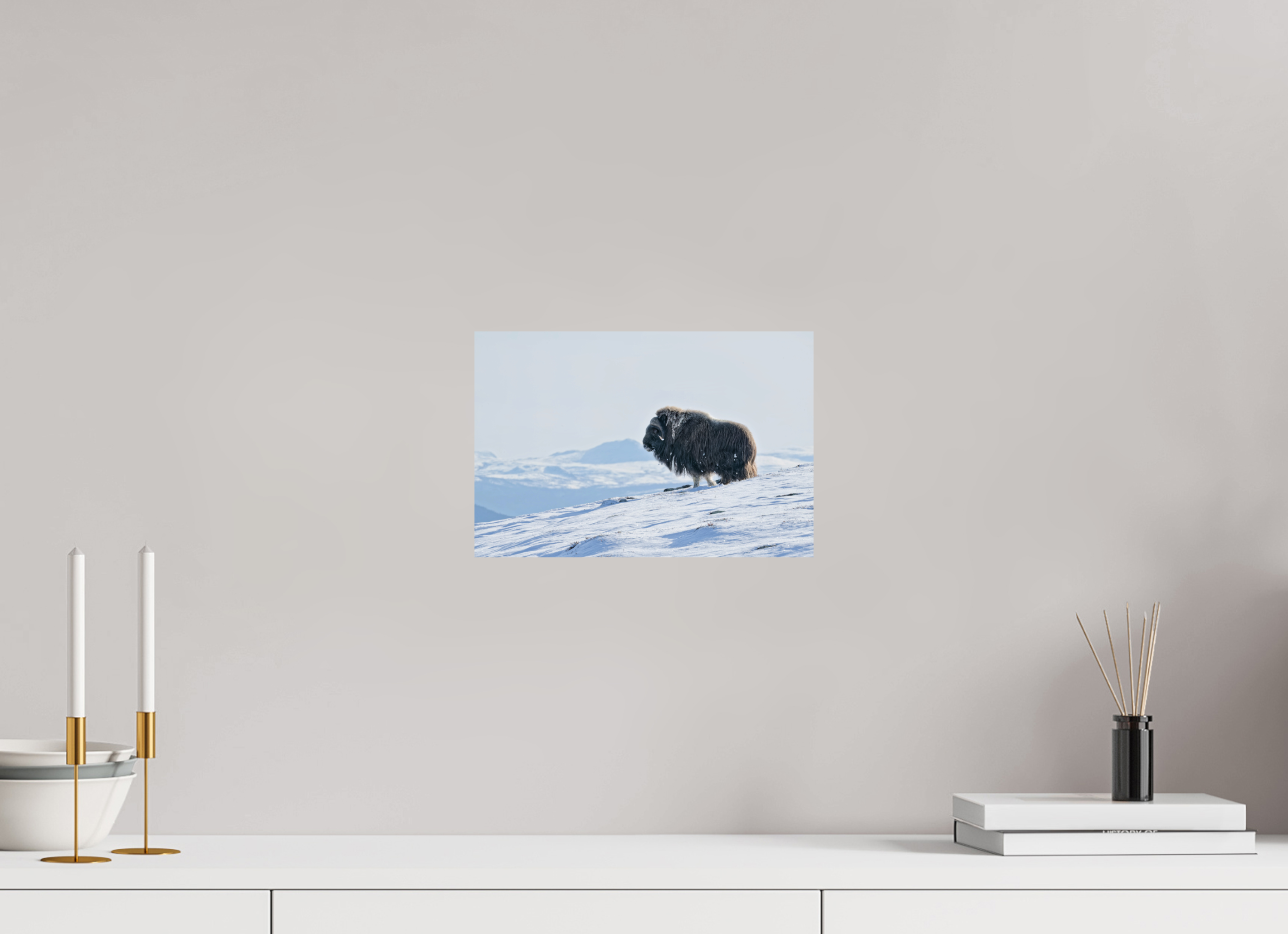 30 x 20 cm, Photo Print On Fuji Crystal DP II Kingdom of Musk