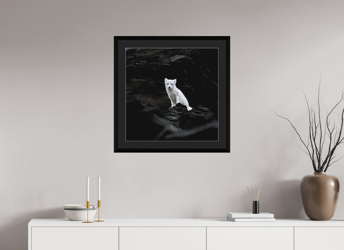 60 x 60 cm, Solid Wood Frame Vienna Passe-partout Black Oak Arctiv Fox Angel -Solid Frame With Passe-Partout
