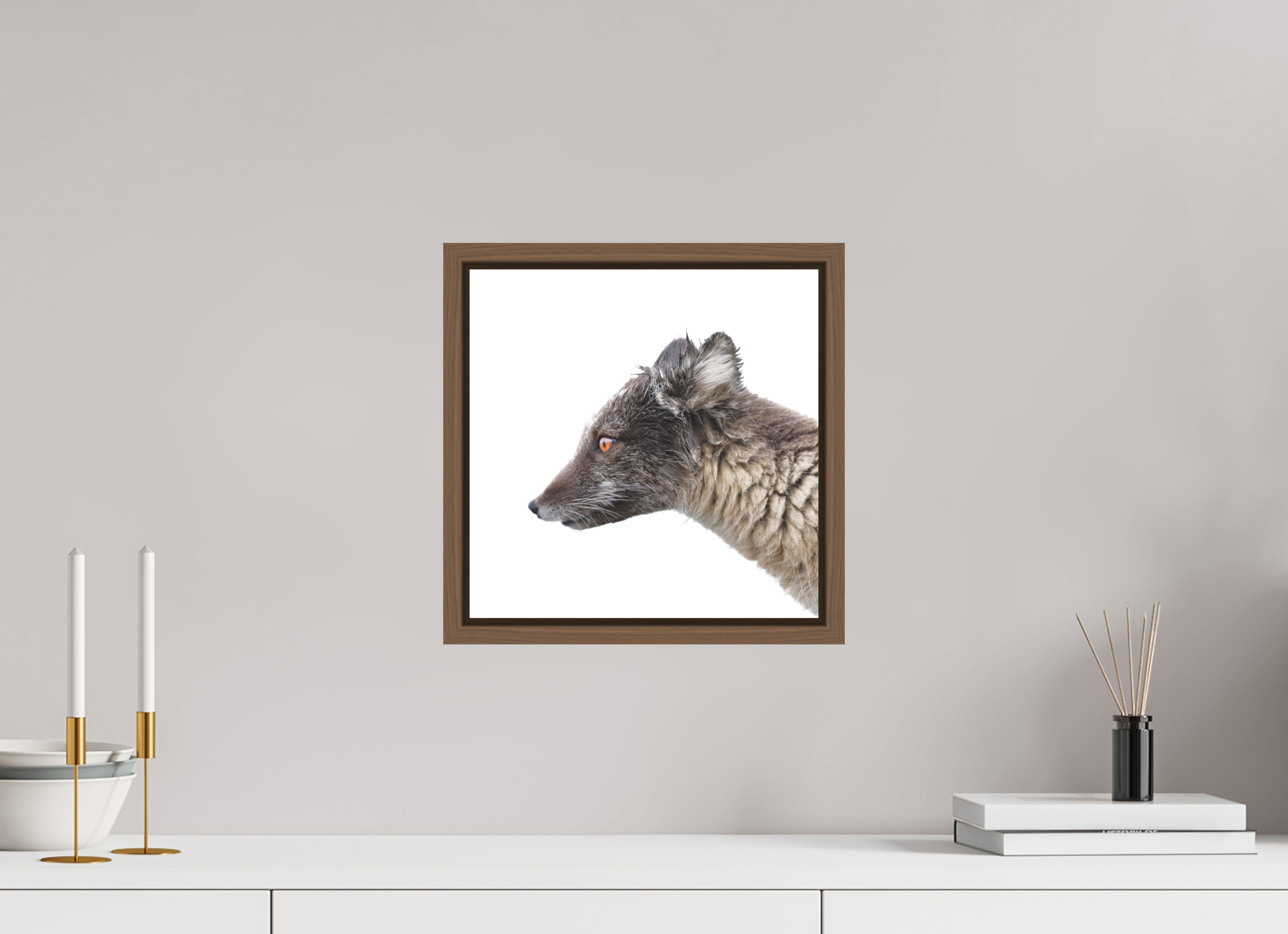 30 x 30 cm, Floater Frame Walnut Matte Acrylic Glass Arctic Fox Brown - Floater Frame Matte