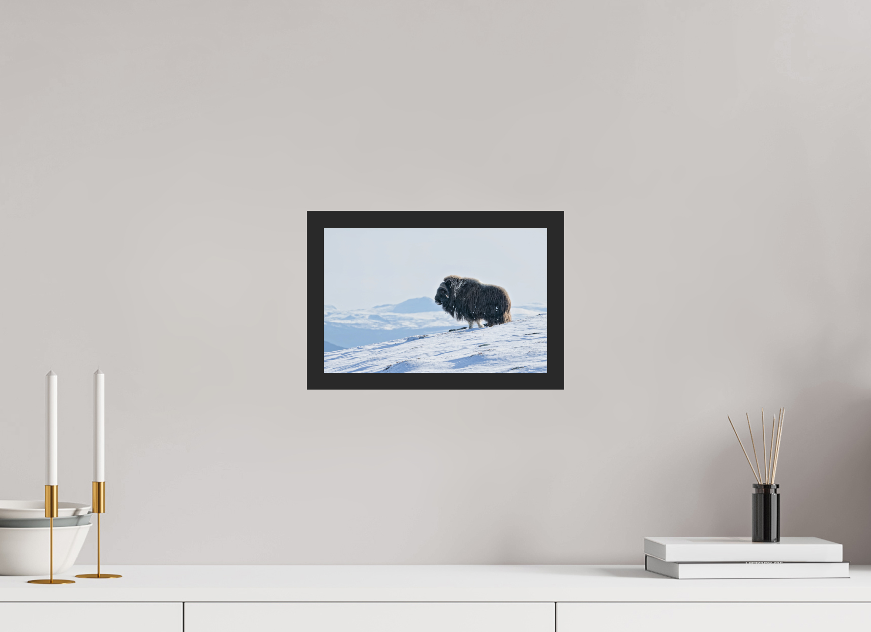 30 x 20 cm, Gallery Frame Hamburg Matte Black Glossy Acrylic The Musk Ox Kingdom - In Solid 20 mm Wood Frame Hamburg Glossy
